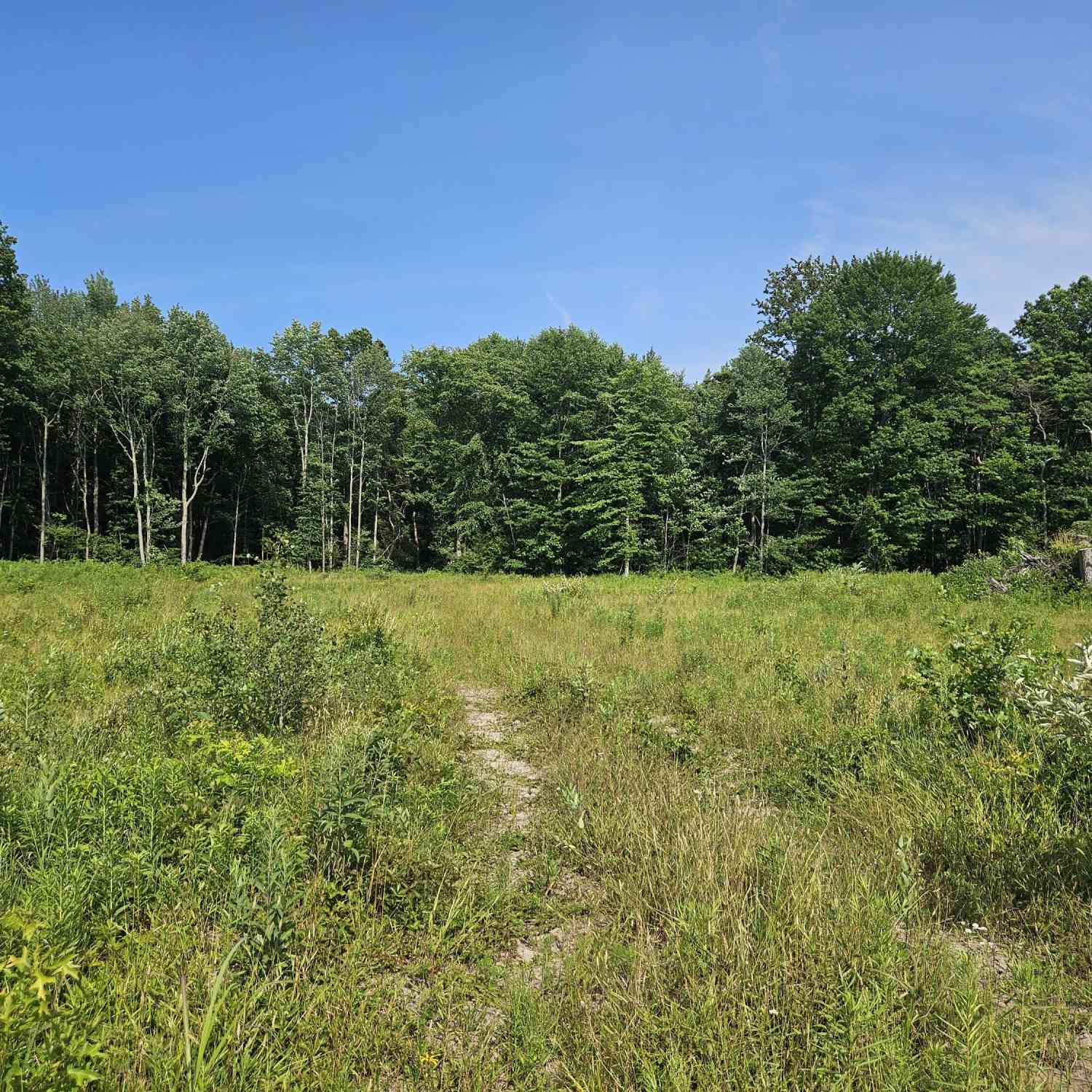 Vacant Land For Sale - V/L 54th Street<br/> Allegan County, Fennville, MI 49408