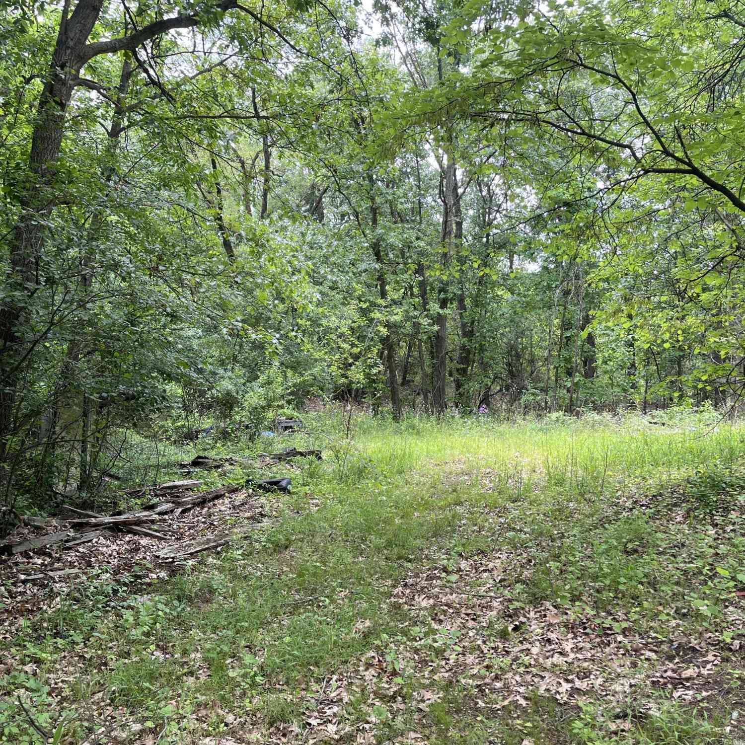 Vacant Land For Sale - 129 Fox Avenue<br/> Battle Creek, MI 49037