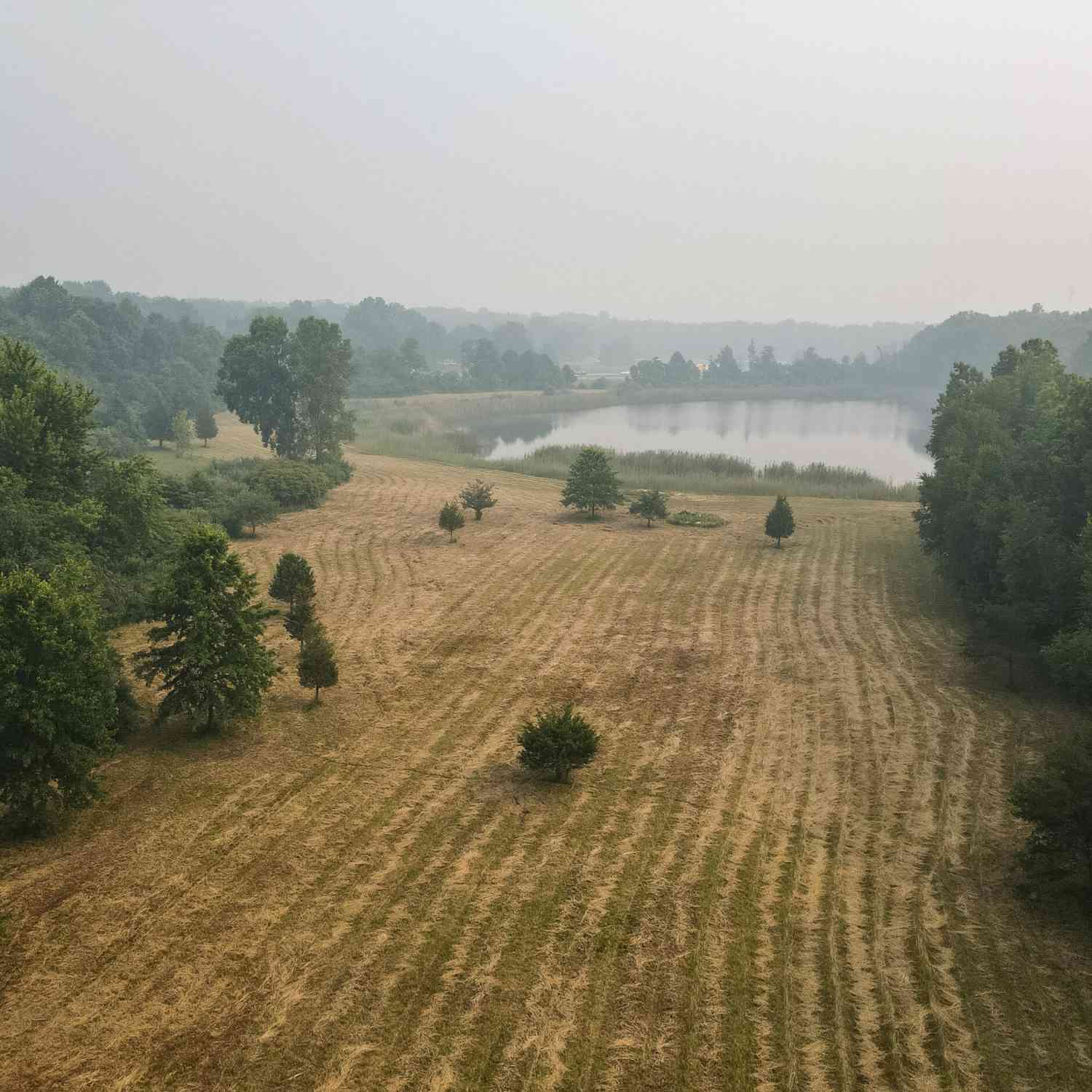 Vacant Land For Sale - 11930 Wilson Road<br/> Berrien County, New Buffalo, MI 49117