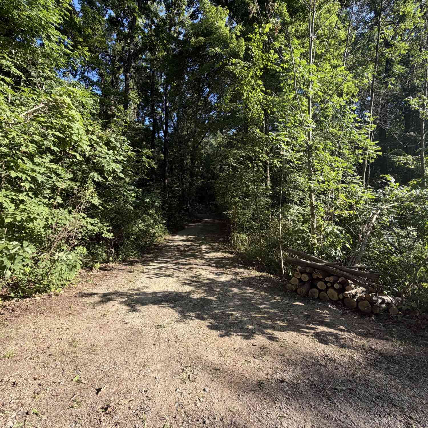 Vacant Land For Sale - VL Keller Road<br/> Delton, MI 49046