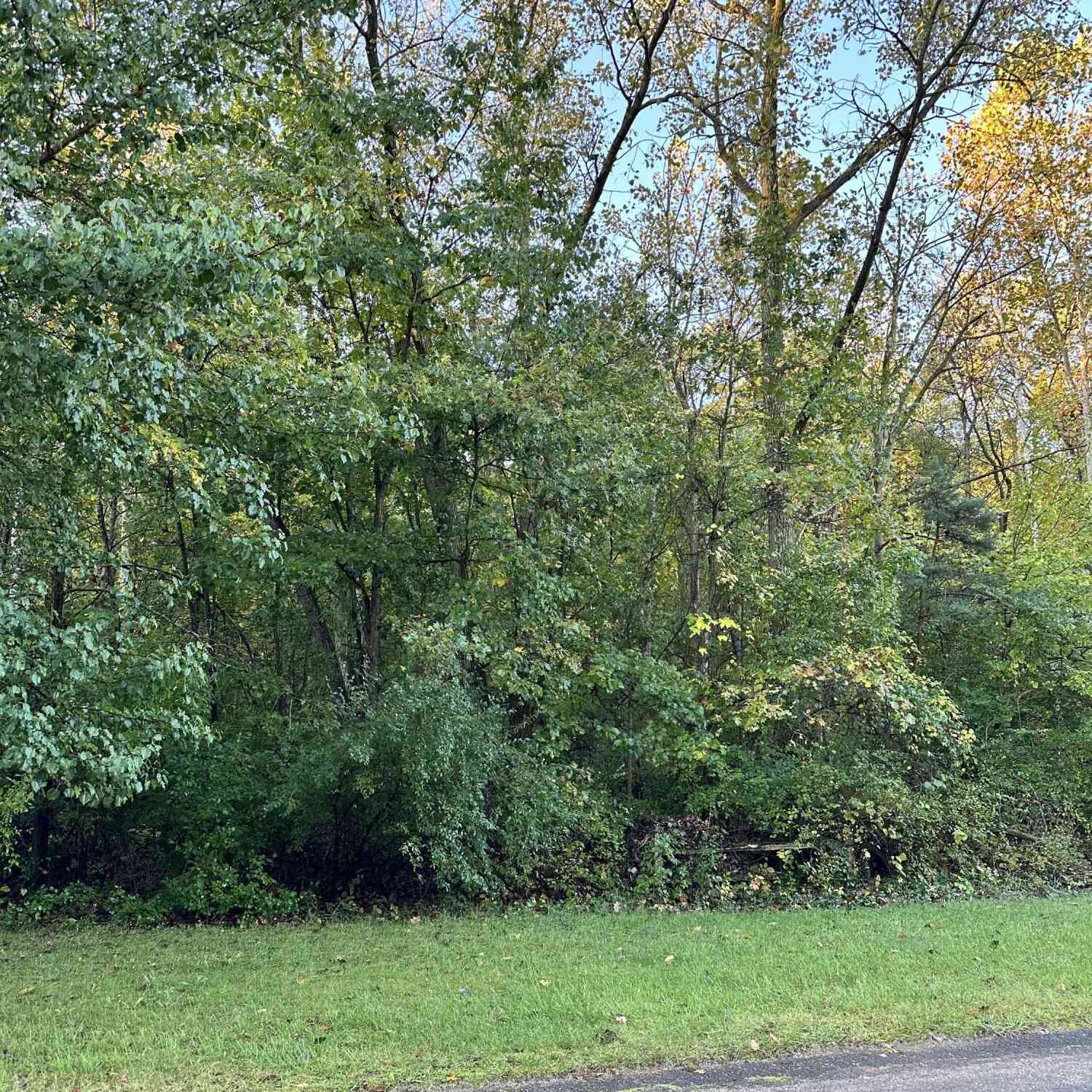 Vacant Land For Sale - 1544 Echo Valley Drive<br/> Berrien County, Niles, MI 49120