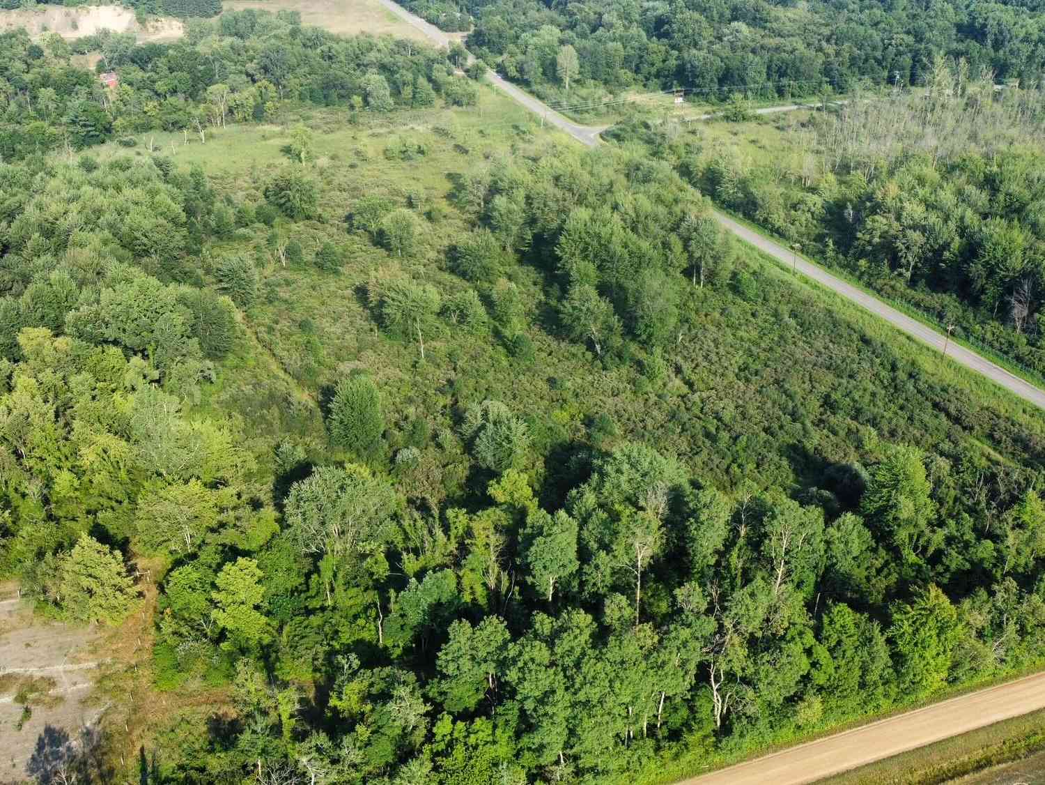 Vacant Land For Sale - 47655 48th Avenue<br/> Hartford, MI 49057