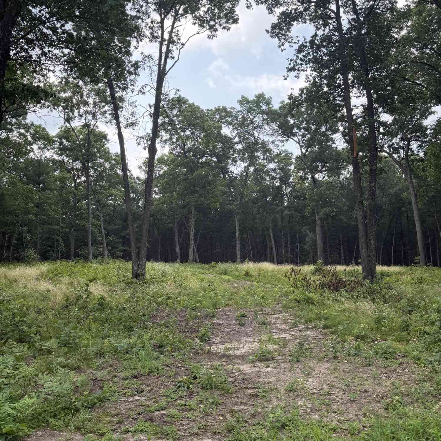 Vacant Land For Sale - 1099 Chicago Drive #LOT 20<br/> Muskegon County, Whitehall, MI 49461