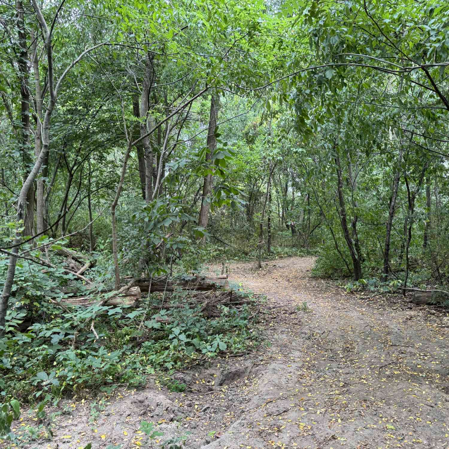 Vacant Land For Sale - 5708 Division<br/> Kent County, Grand Rapids, MI 49548