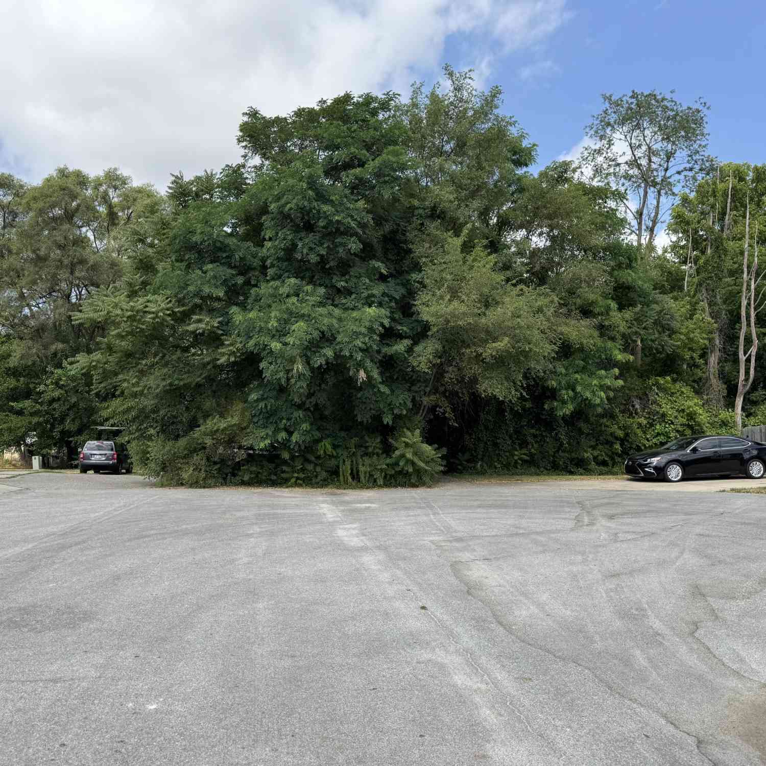 Vacant Land For Sale - 5708 Division<br/> Grand Rapids, MI 49548