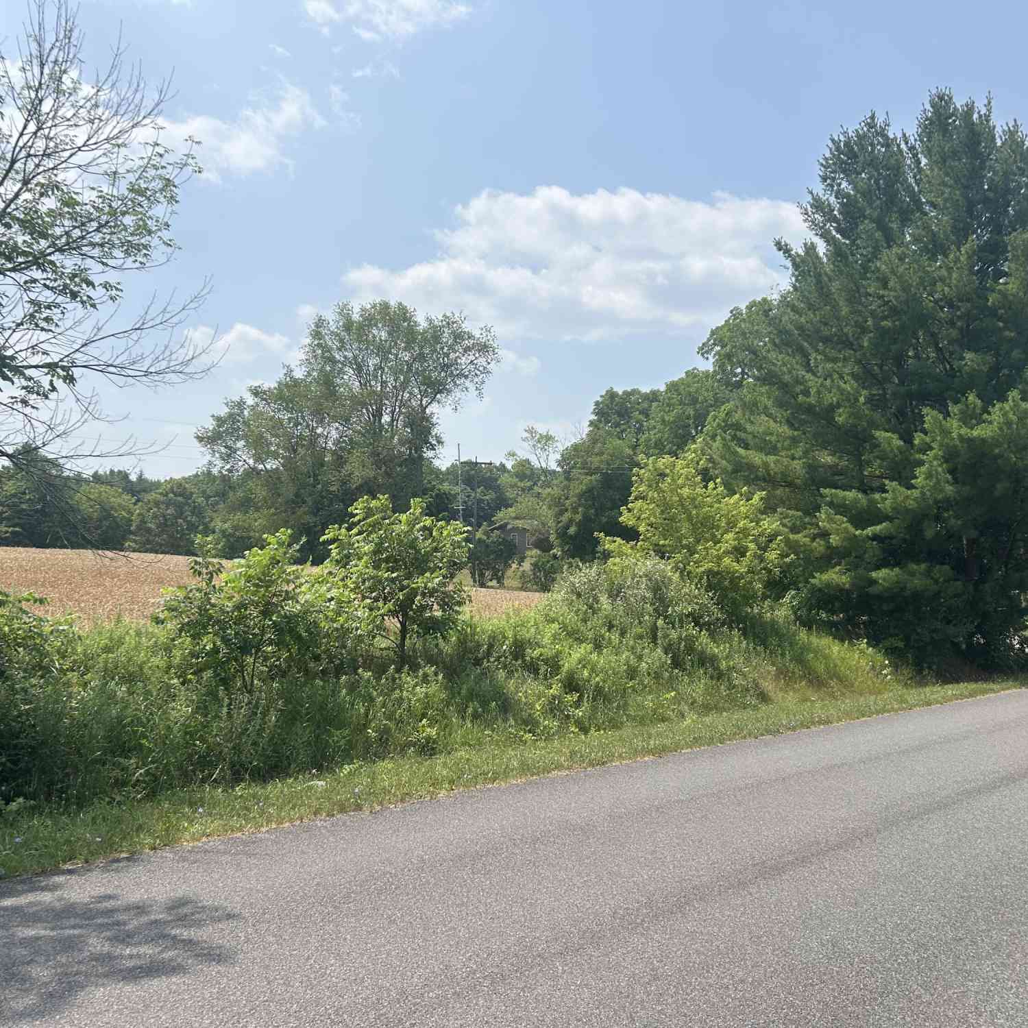Vacant Land For Sale - 1976 Solon Street<br/> Cedar Springs, MI 49319