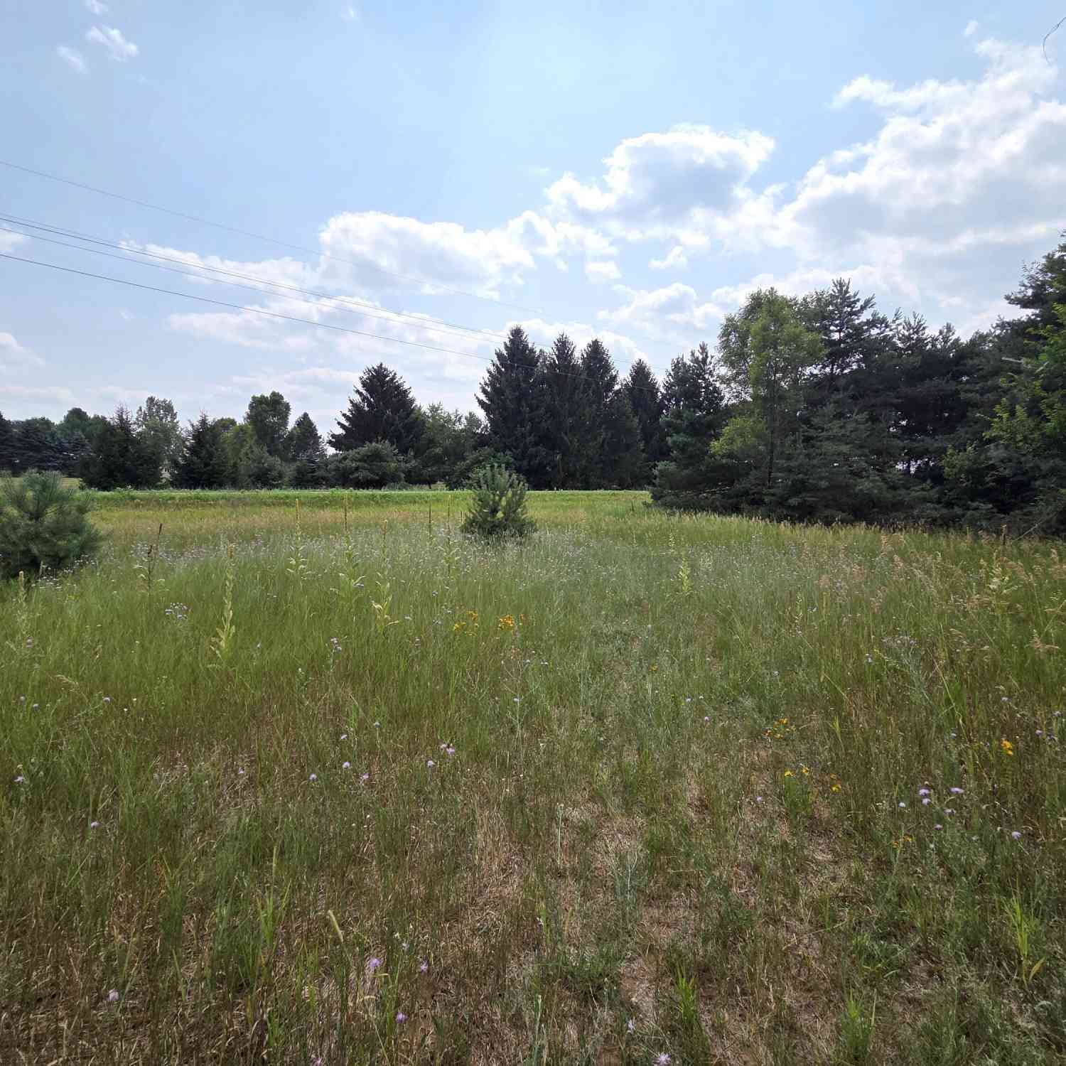 Vacant Land For Sale - 00 W Stanton Road<br/> Montcalm County, Trufant, MI 49347
