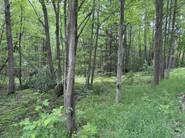Vacant Land For Sale - 142 Hills Circle<br/> Osceola County, Leroy, MI 49655