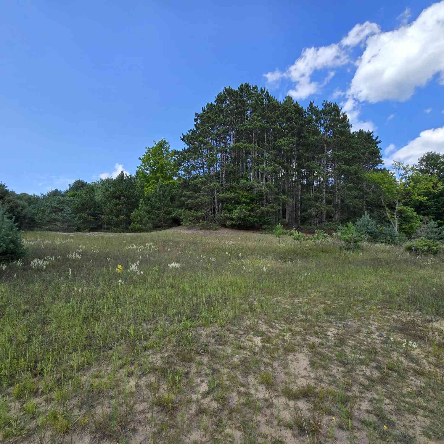 Vacant Land For Sale - 11 Mile Road #PARCEL B<br/> Bear Lake, MI 49614