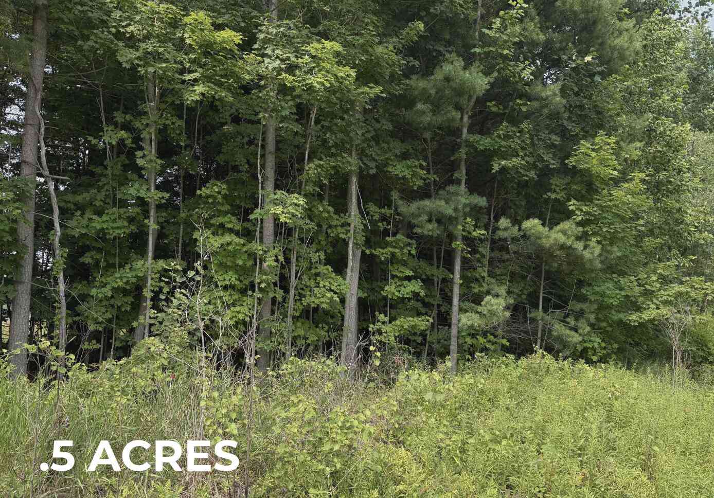 Vacant Land For Sale - V/L 70422 16th Avenue<br/> South Haven, MI 49090