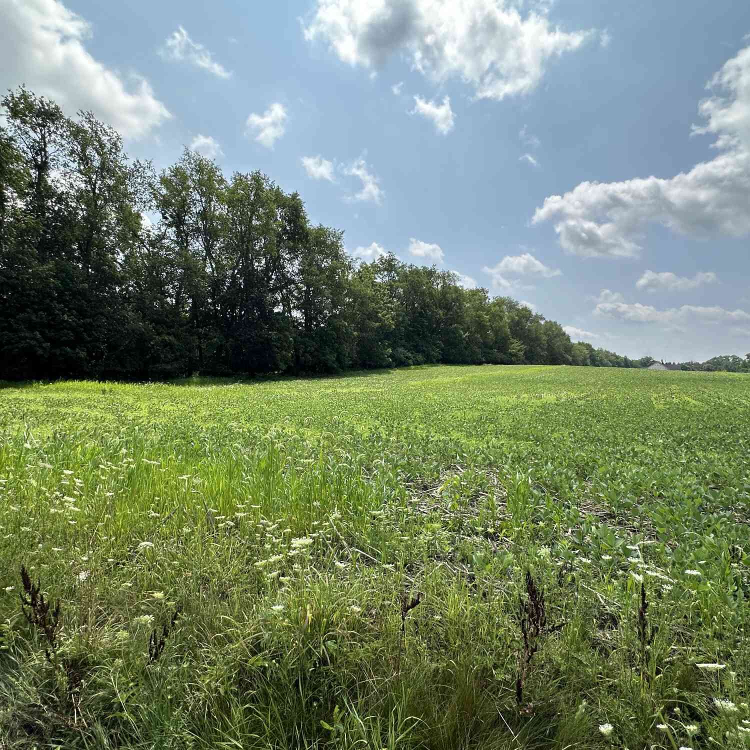 Vacant Land For Sale - V/L Bertrand #LOT 2<br/> Niles, MI 49120