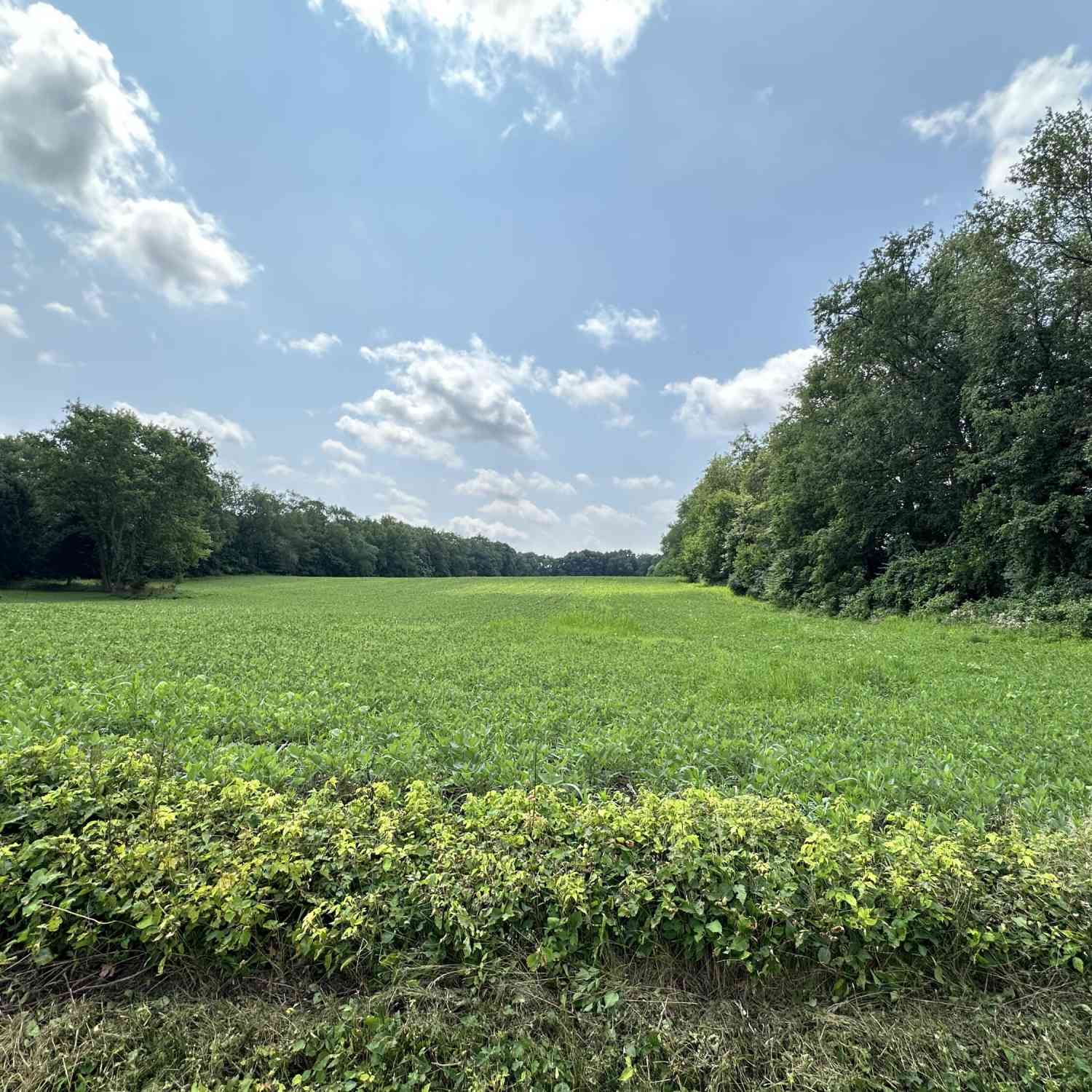 Vacant Land For Sale - V/L Bertrand #LOT 3<br/> Niles, MI 49120