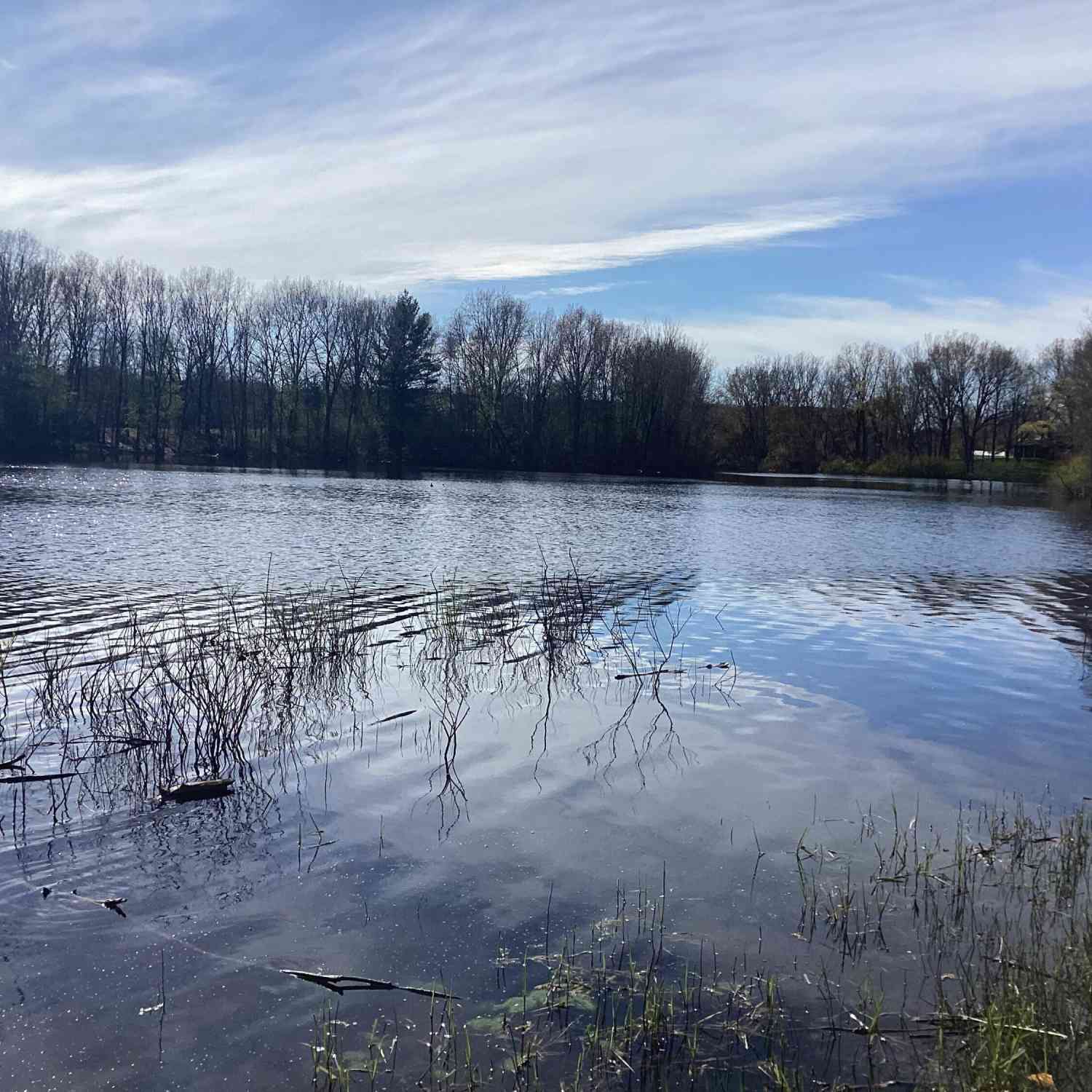 Vacant Land For Sale - 8005 W Juniper Beach Road<br/> Mears, MI 49436