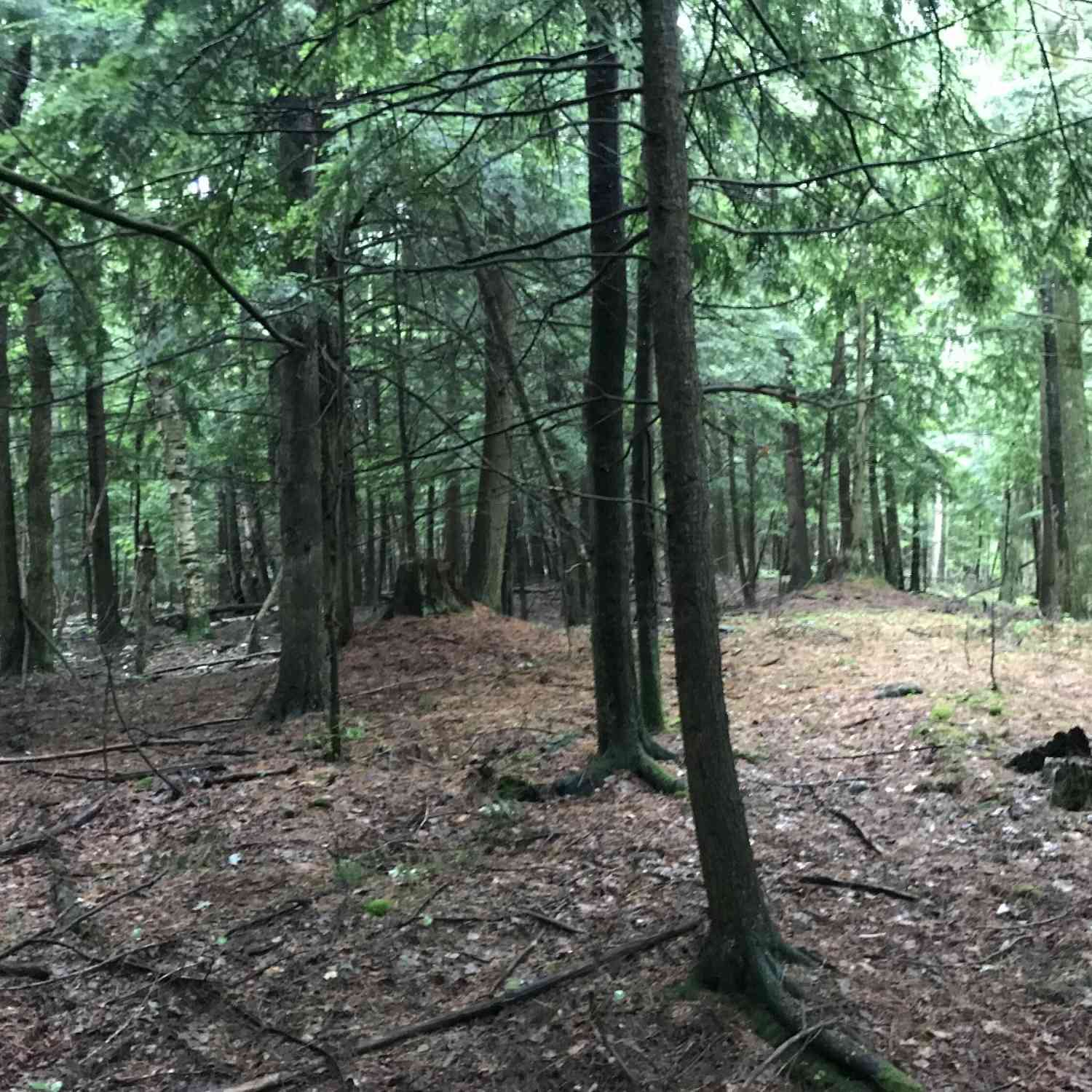 Vacant Land For Sale - Vl Old State Road<br/> Johannesburg, MI 49751