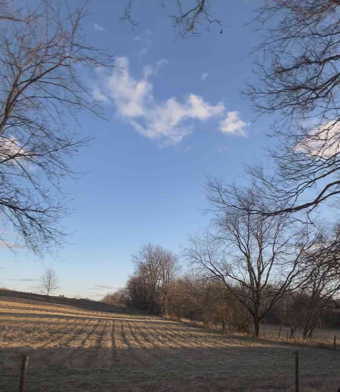 Vacant Land For Sale - 0 V/L E Mill<br/> Hastings, MI 49058