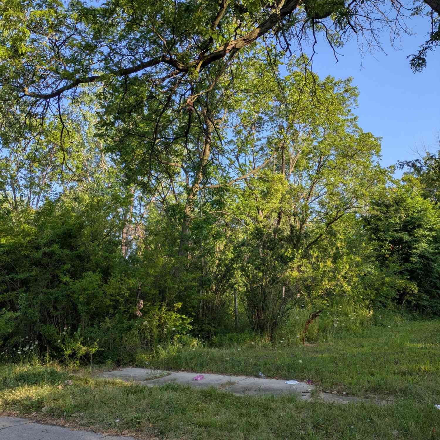 Vacant Land For Sale - 2660 W Forest Avenue<br/> Detroit, MI 48208
