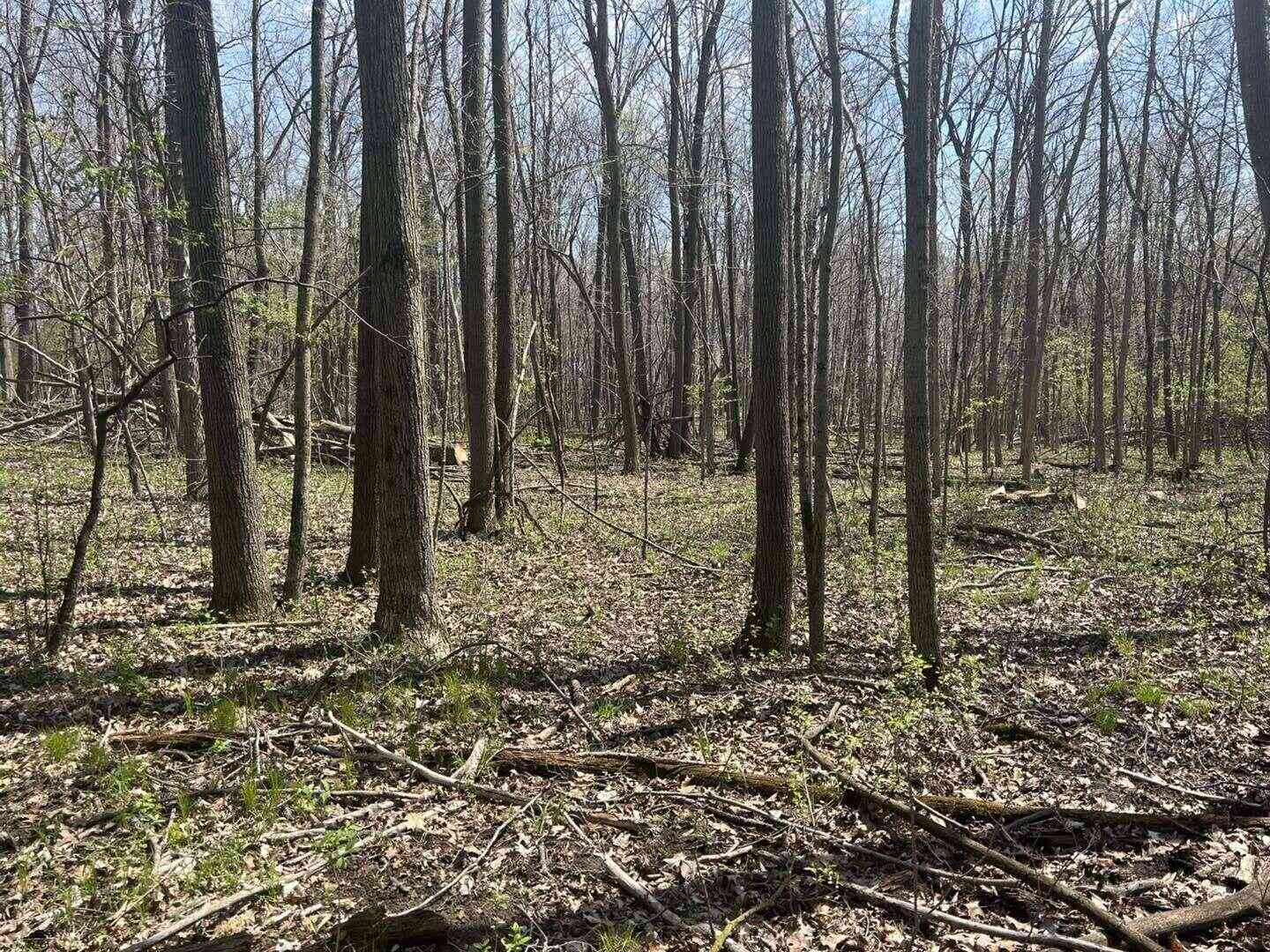 Vacant Land For Sale - Halfmoon Lake Rd.<br/> Hillsdale County, Hillsdale, MI 49242