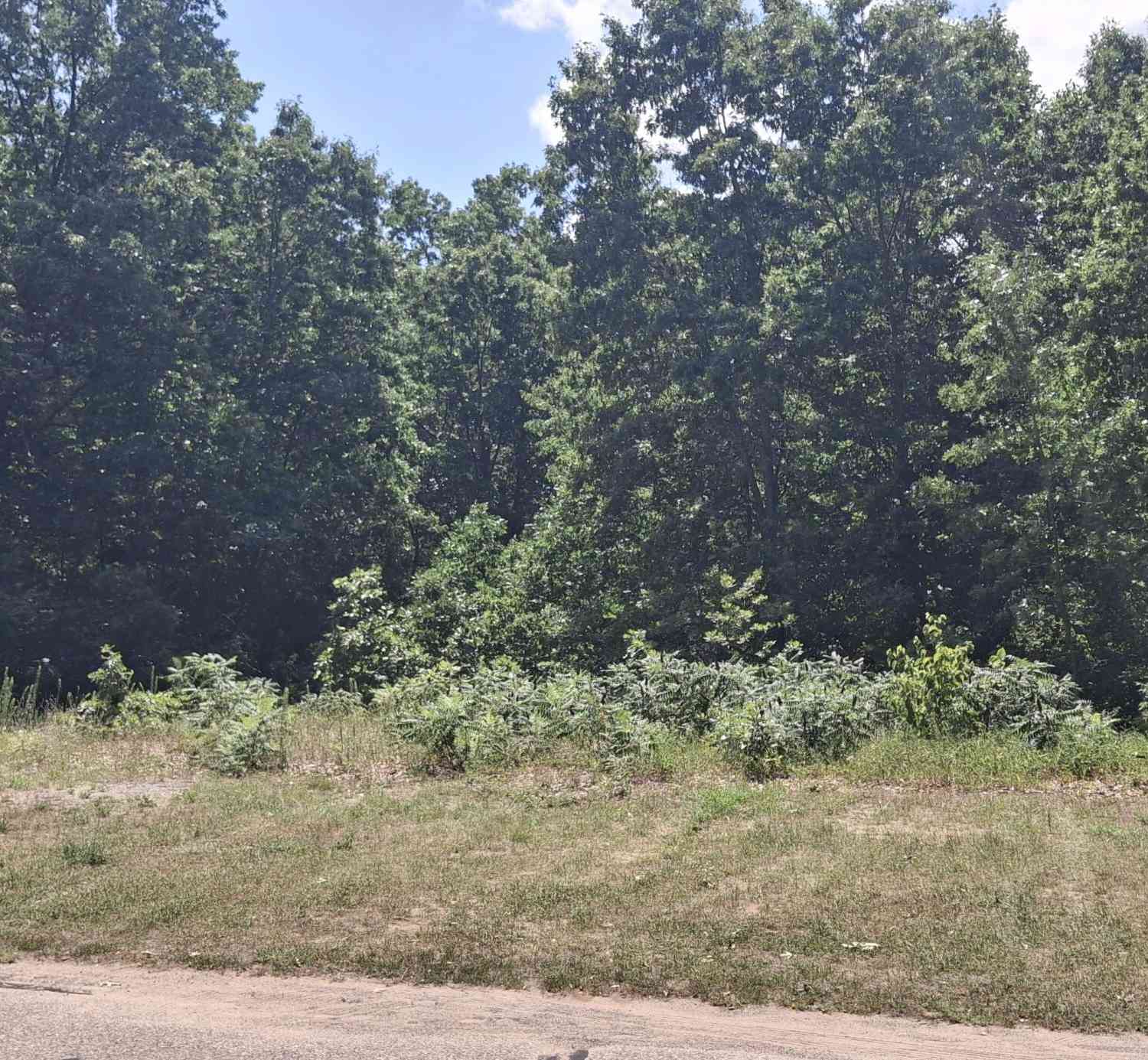 Vacant Land For Sale - 8625 Sunset Drive<br/> Orleans, MI 48865