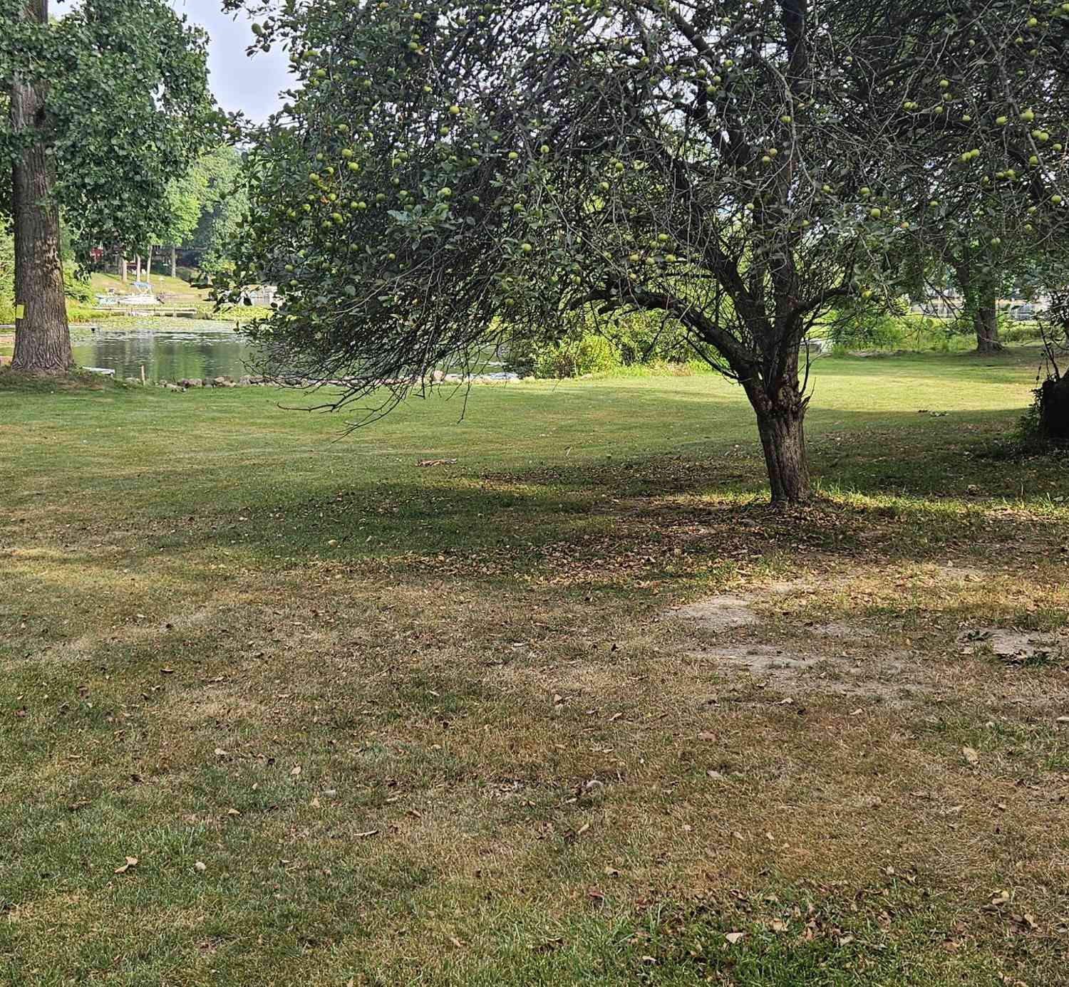 Vacant Land For Sale - S Sherman Lake Drive<br/> Kalamazoo County, Augusta, MI 49012