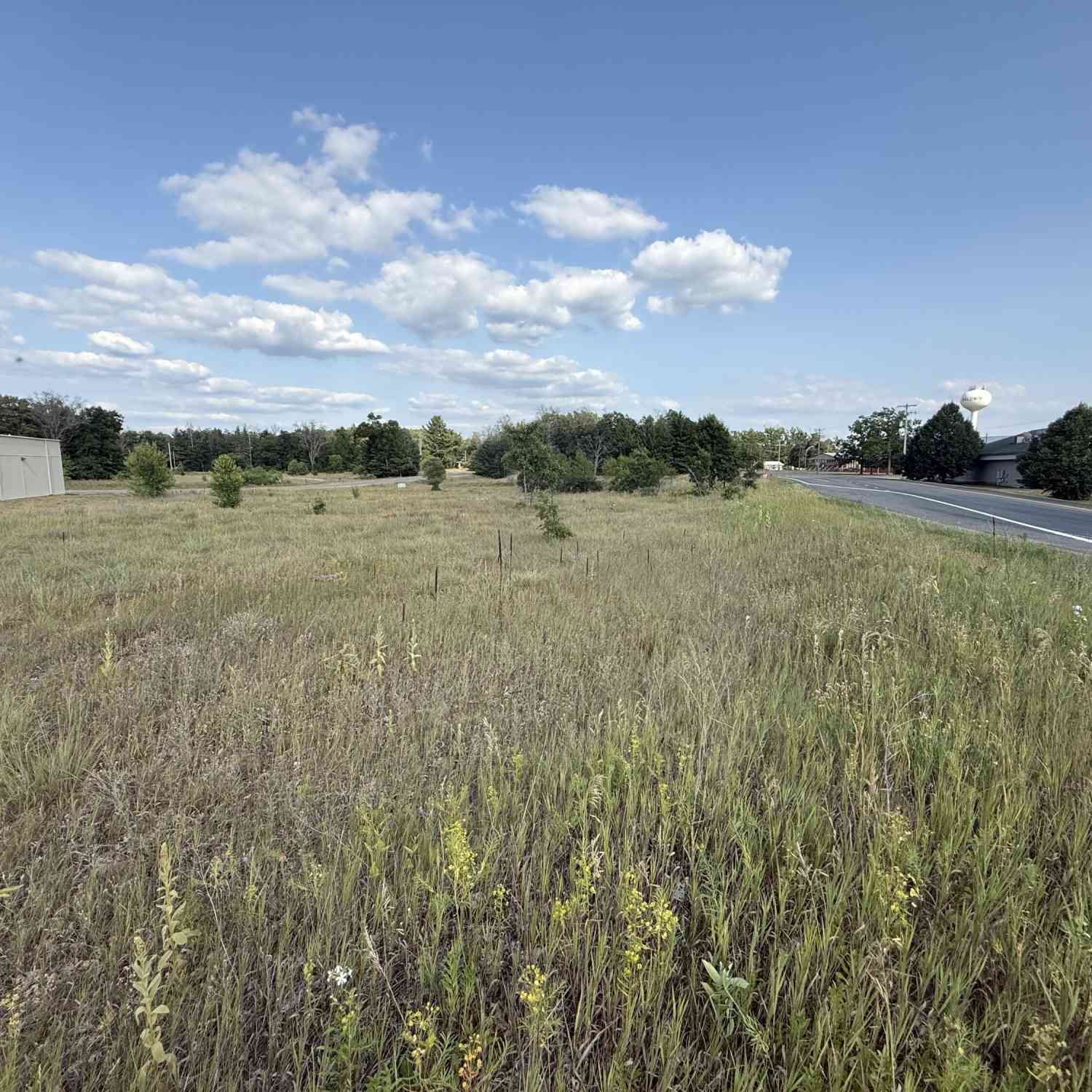 Vacant Land For Sale - Commercial Vaccant<br/> Baldwin, MI 49304