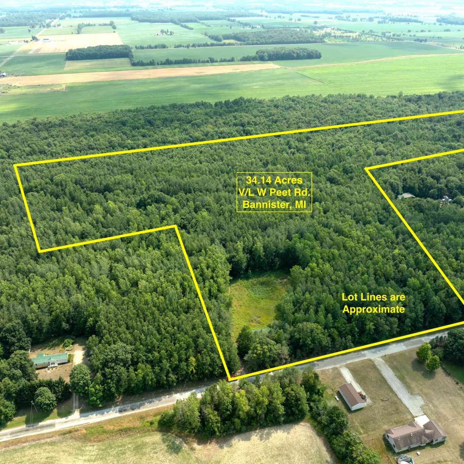 Vacant Land For Sale - W Peet Road<br/> Bannister, MI 48807