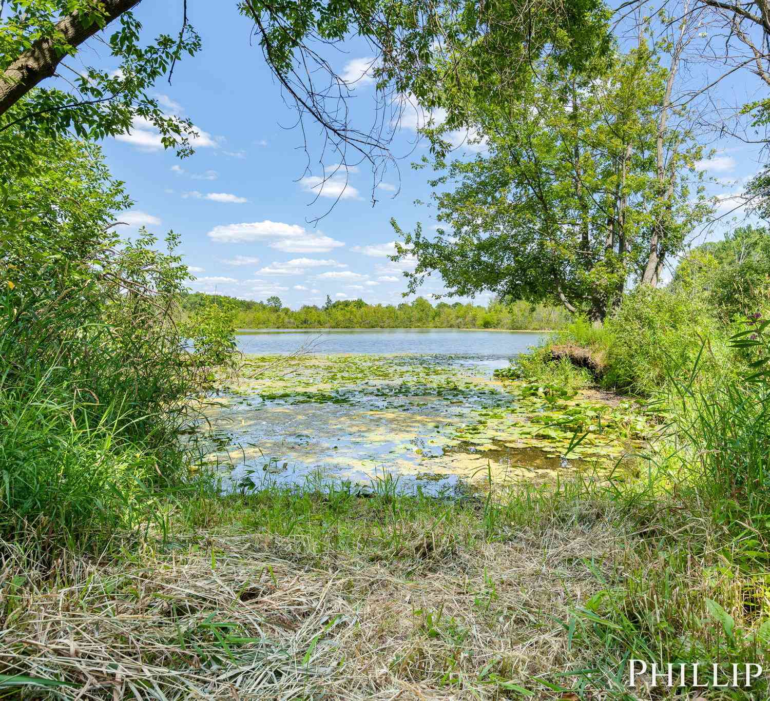 Vacant Land For Sale - 12842 W Hillis Road<br/> Trufant, MI 49347