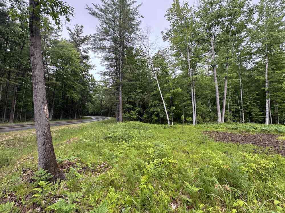 Vacant Land For Sale - Pinecrest Drive<br/> Gladwin, MI 48624