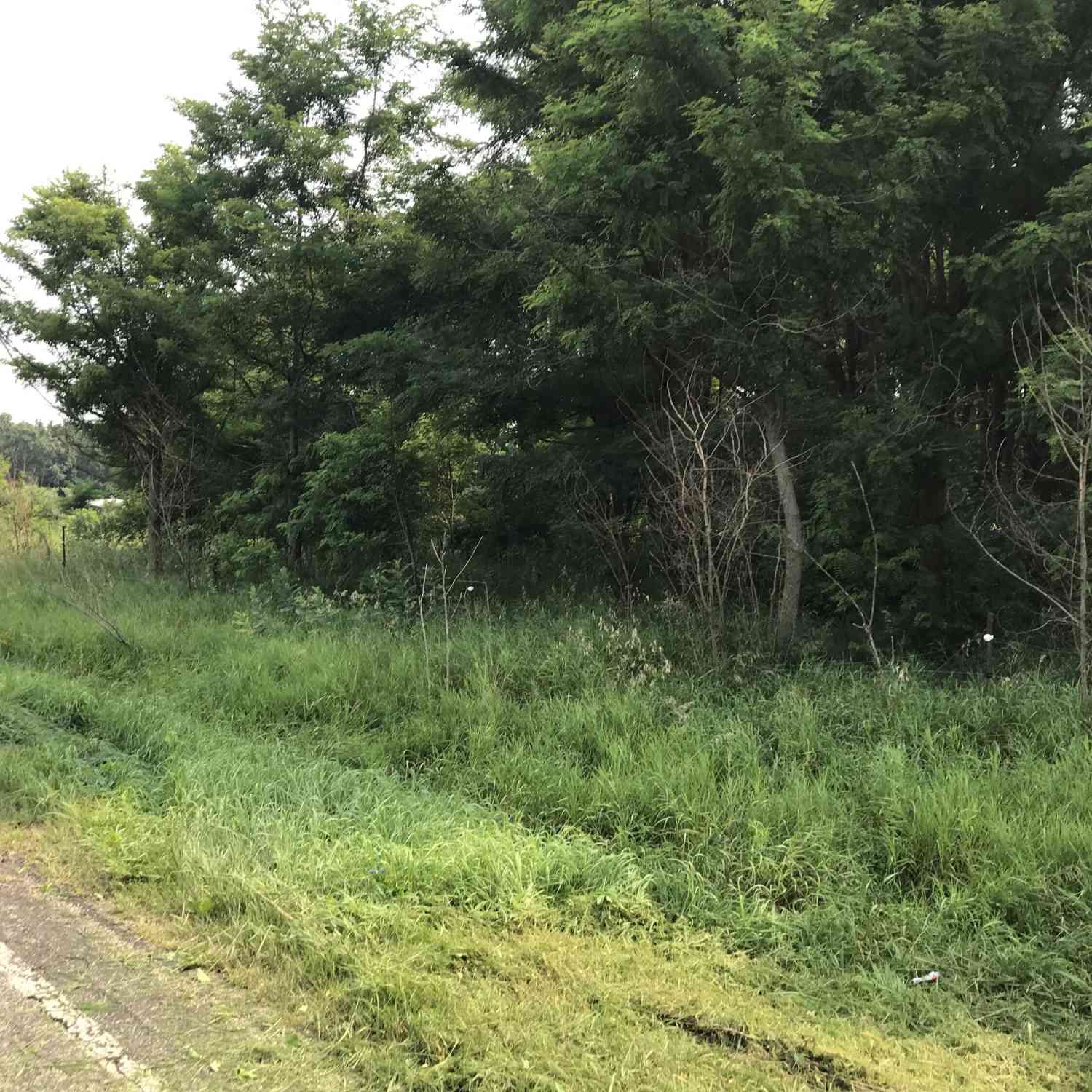 Vacant Land For Sale - LOT H Buckhorn Road<br/> Three Rivers, MI 49093