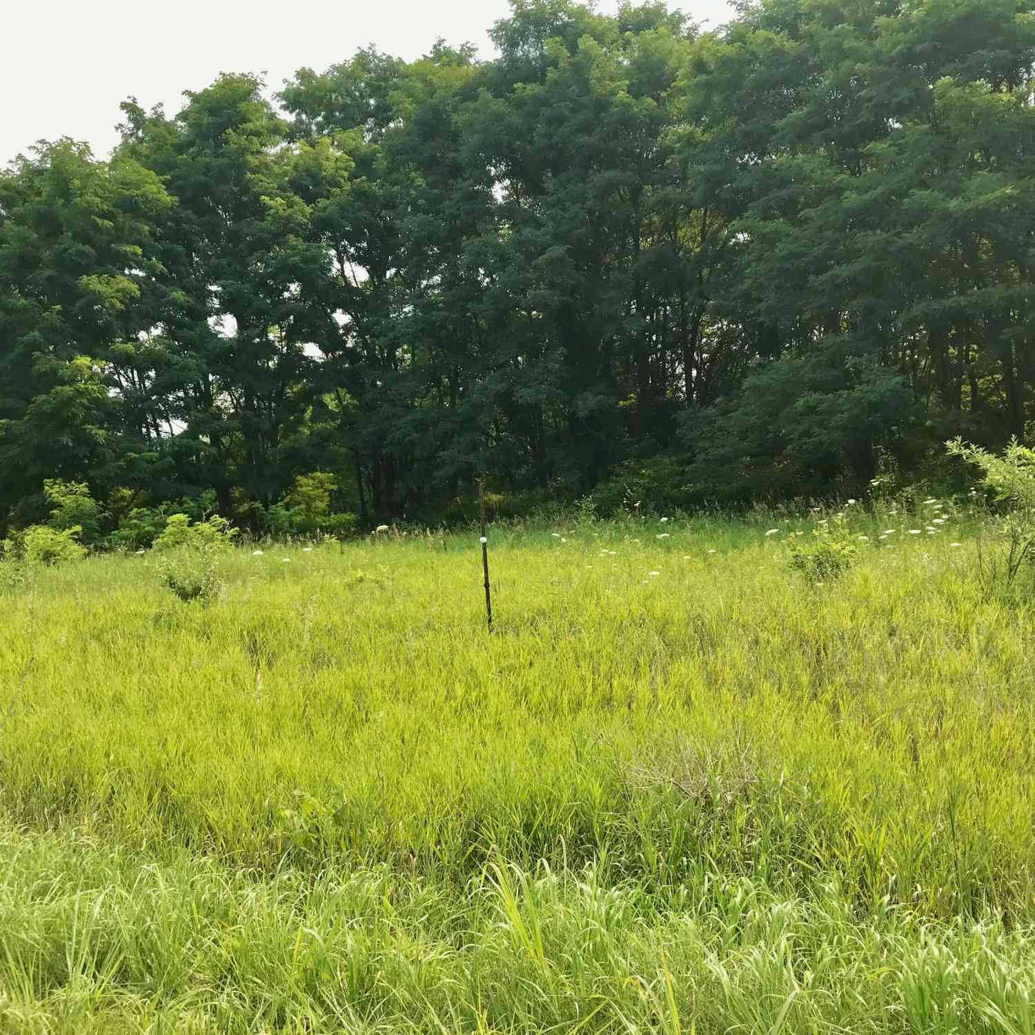 Vacant Land For Sale - Buckhorn Road #LOT J<br/> Three Rivers, MI 49093