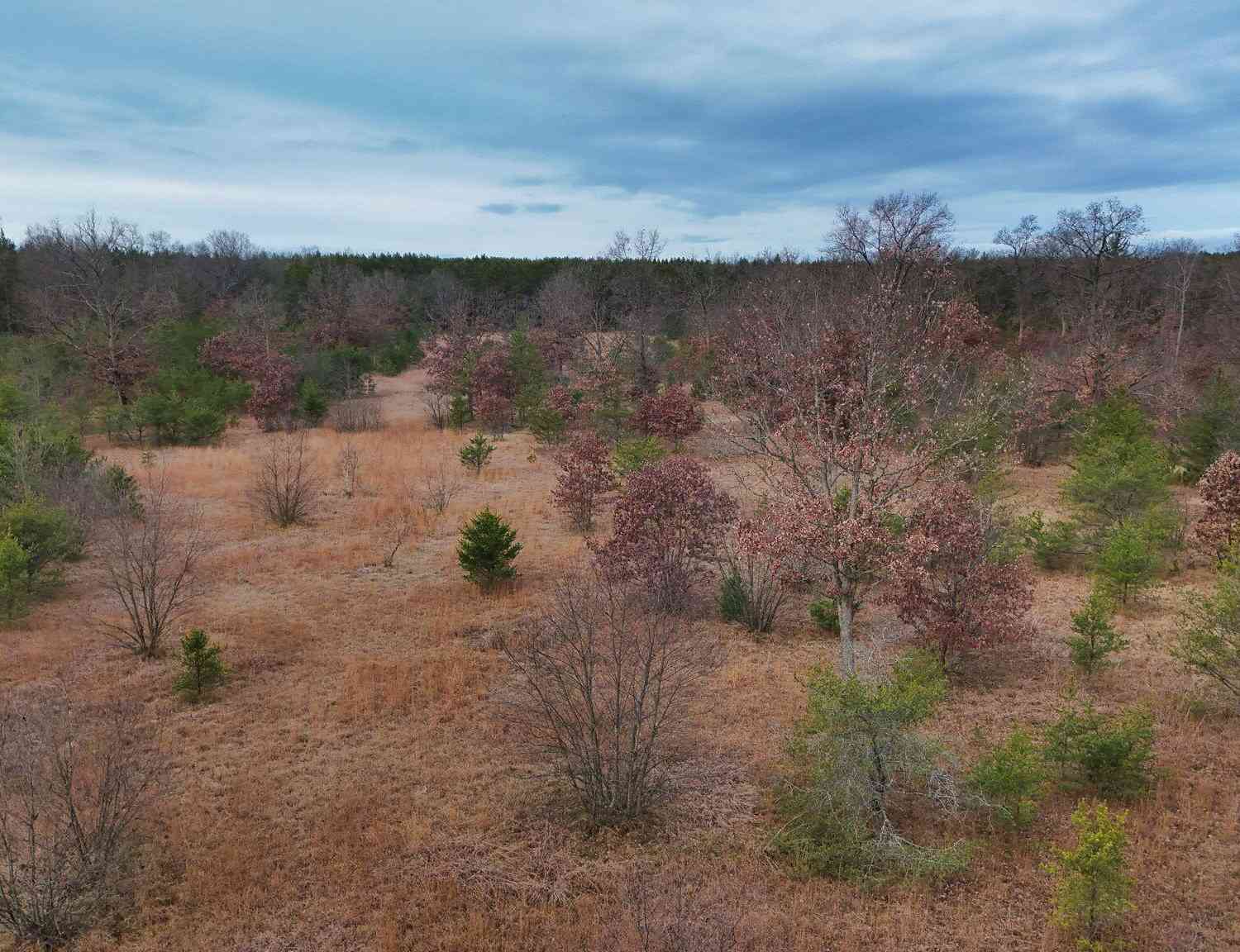 Vacant Land For Sale - 3728 N Custer Road<br/> Manistee County, Manistee, MI 49660
