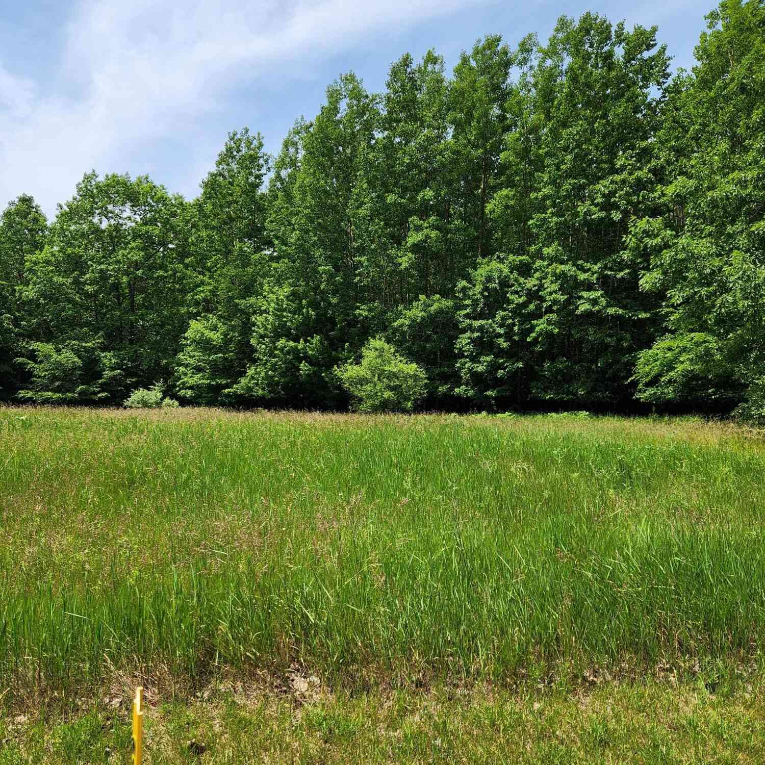 Vacant Land For Sale - 00 Opal Ridge Drive #64<br/> Onekama, MI 49675