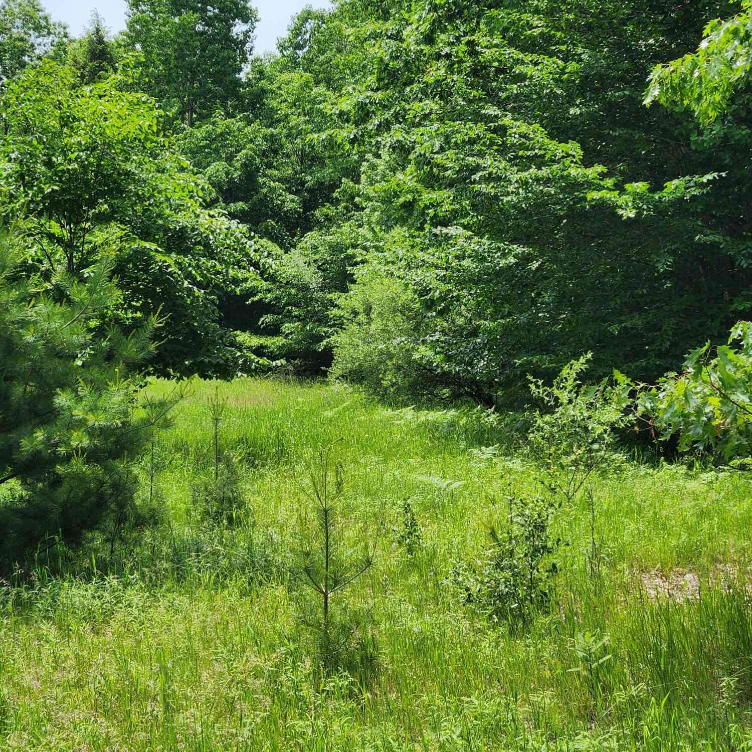 Vacant Land For Sale - 00 E Starlight Rdg Circle #63<br/> Onekama, MI 49675