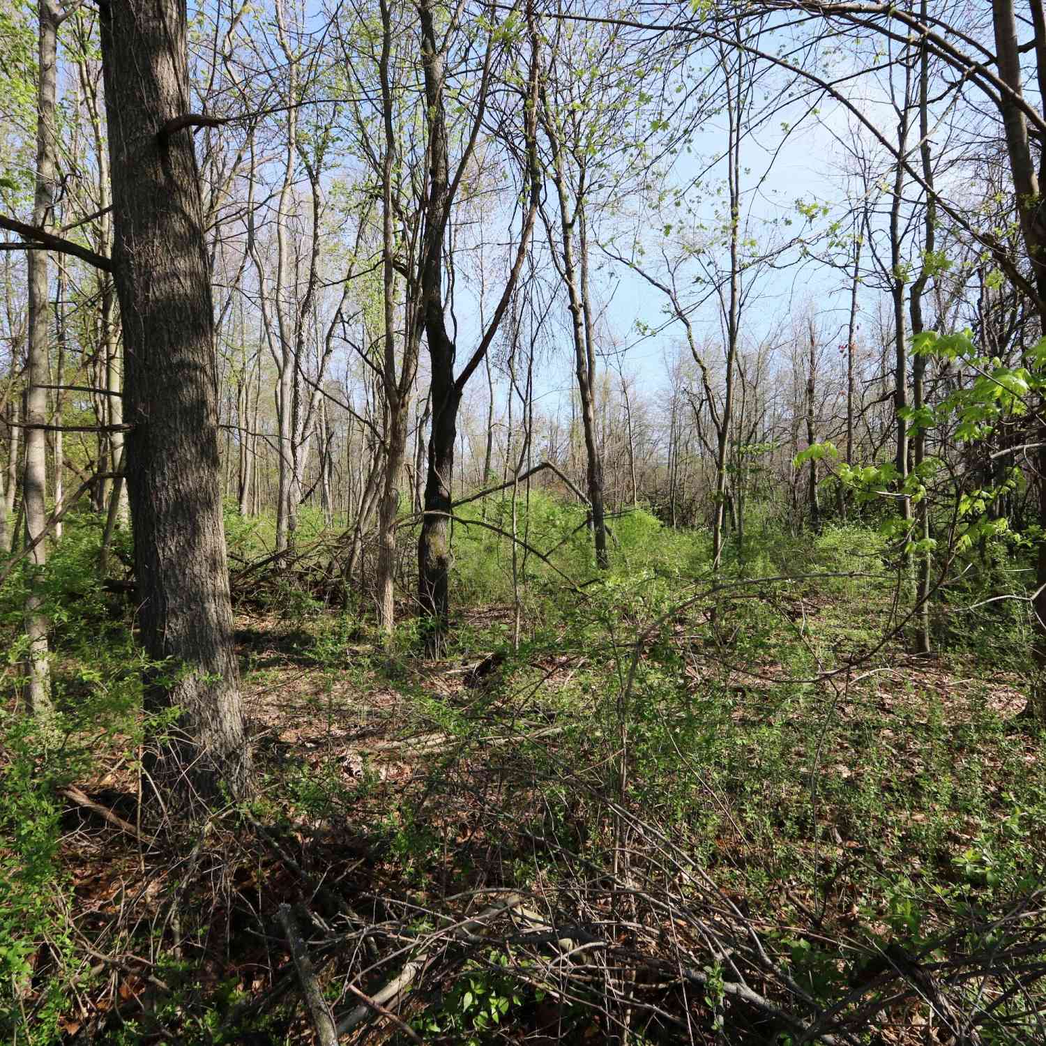 Vacant Land For Sale - 2807 S 13th Street #TRACT 1<br/> Niles, MI 49120