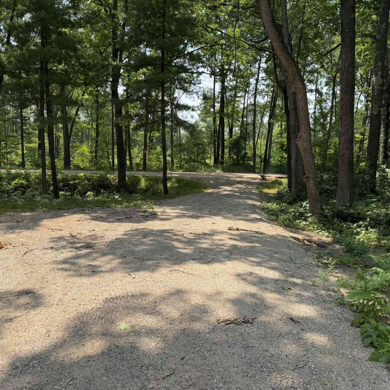 Vacant Land For Sale - Steinberg Road<br/> Wellston, MI 49689