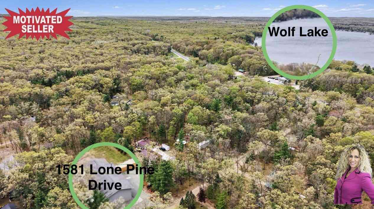 Homes For Sale - 1581 Lone Pine Drive<br/> Baldwin, MI 49304