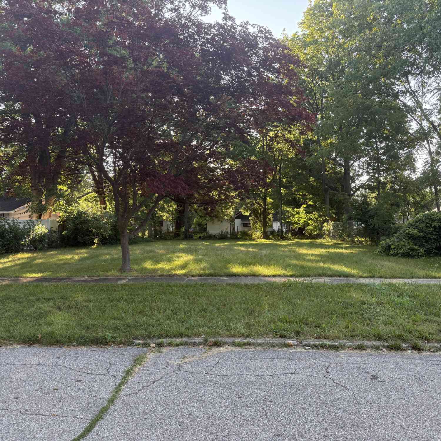 Vacant Land For Sale - 1015 N 6th Street<br/> Niles, MI 49120