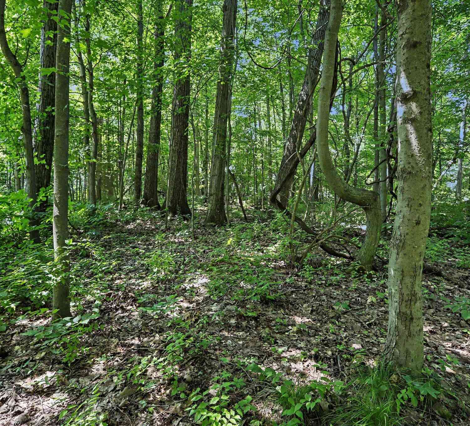 Vacant Land For Sale - V/L Middle Road #LOTS 45  46<br/> Three Rivers, MI 49093