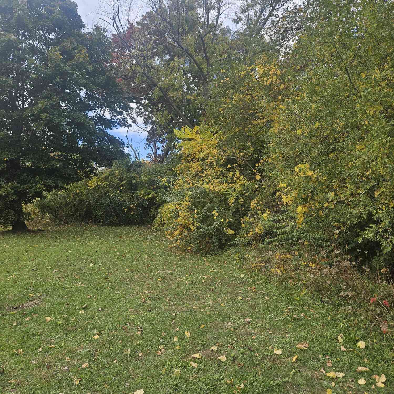 Vacant Land For Sale - 238 Pine Street<br/> Benton Harbor, MI 49022