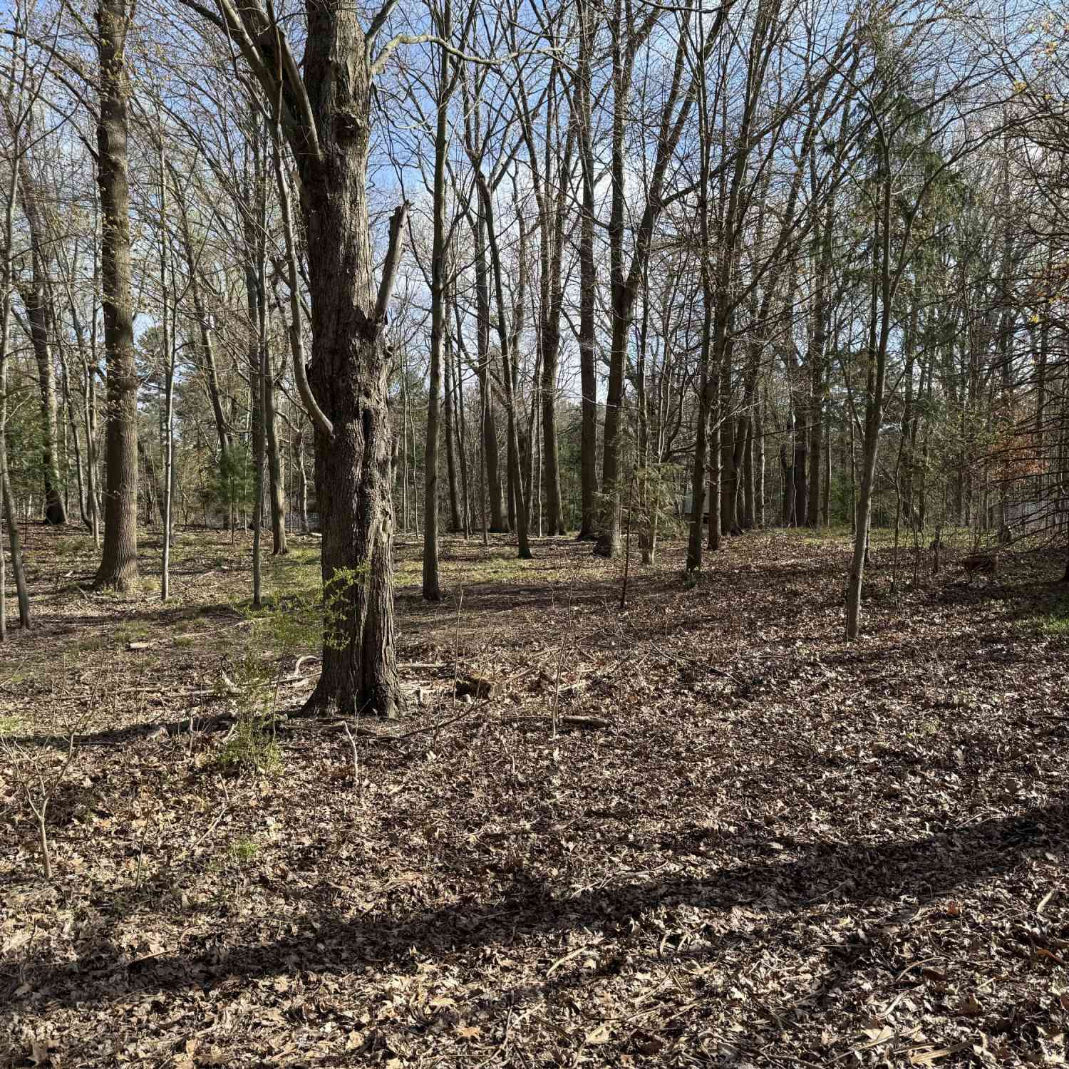 Vacant Land For Sale - ABC Greenbush Road<br/> Harbert, MI 49115