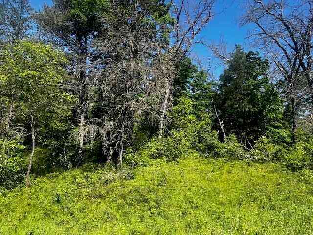Vacant Land For Sale - PARCEL 1 M-37<br/> Irons, MI 49644
