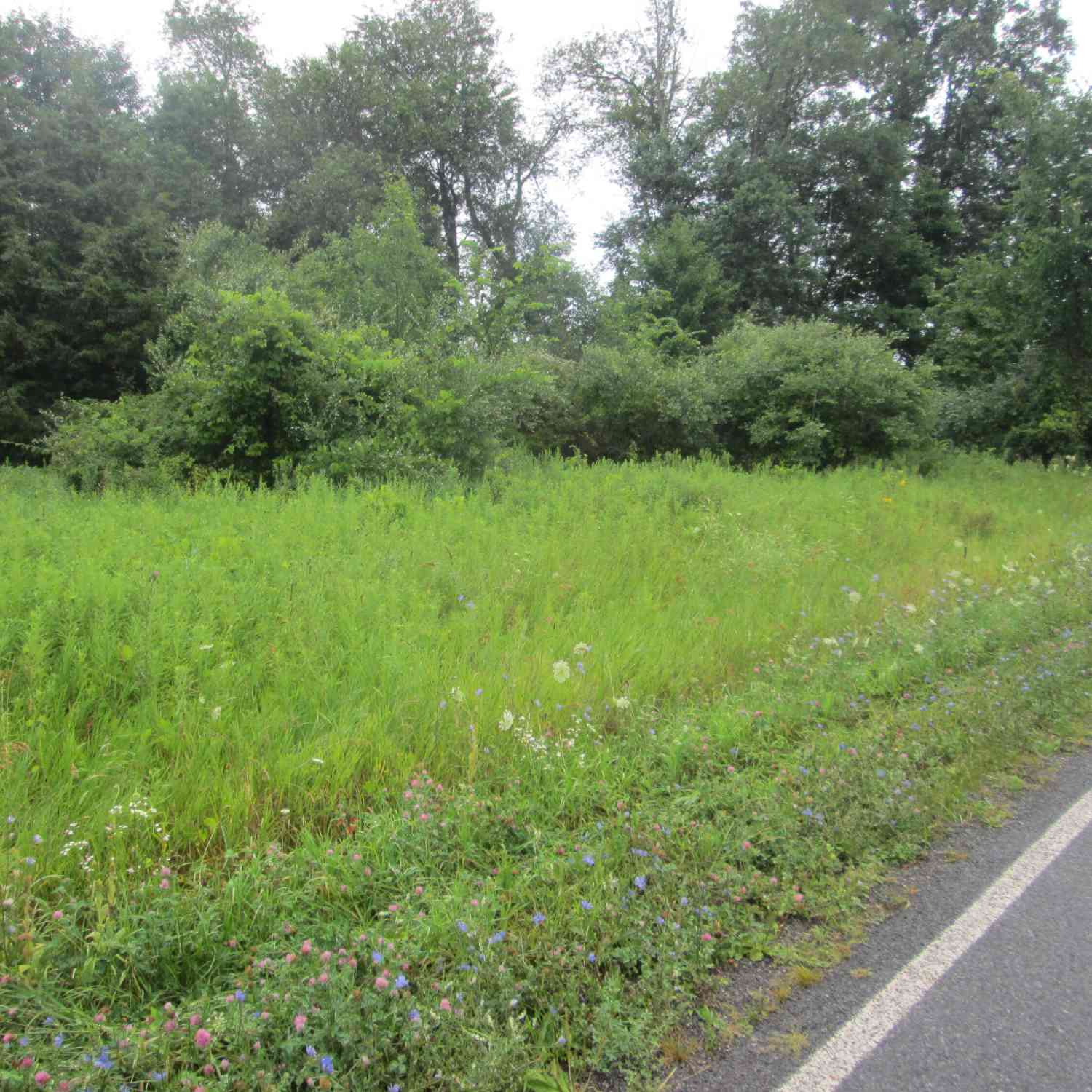 Vacant Land For Sale - W Muskrat Road<br/> Sidney, MI 48885