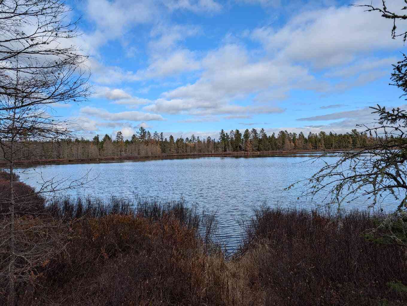 Vacant Land For Sale - VL Slough Lake Road<br/> Gwinn, MI 49841