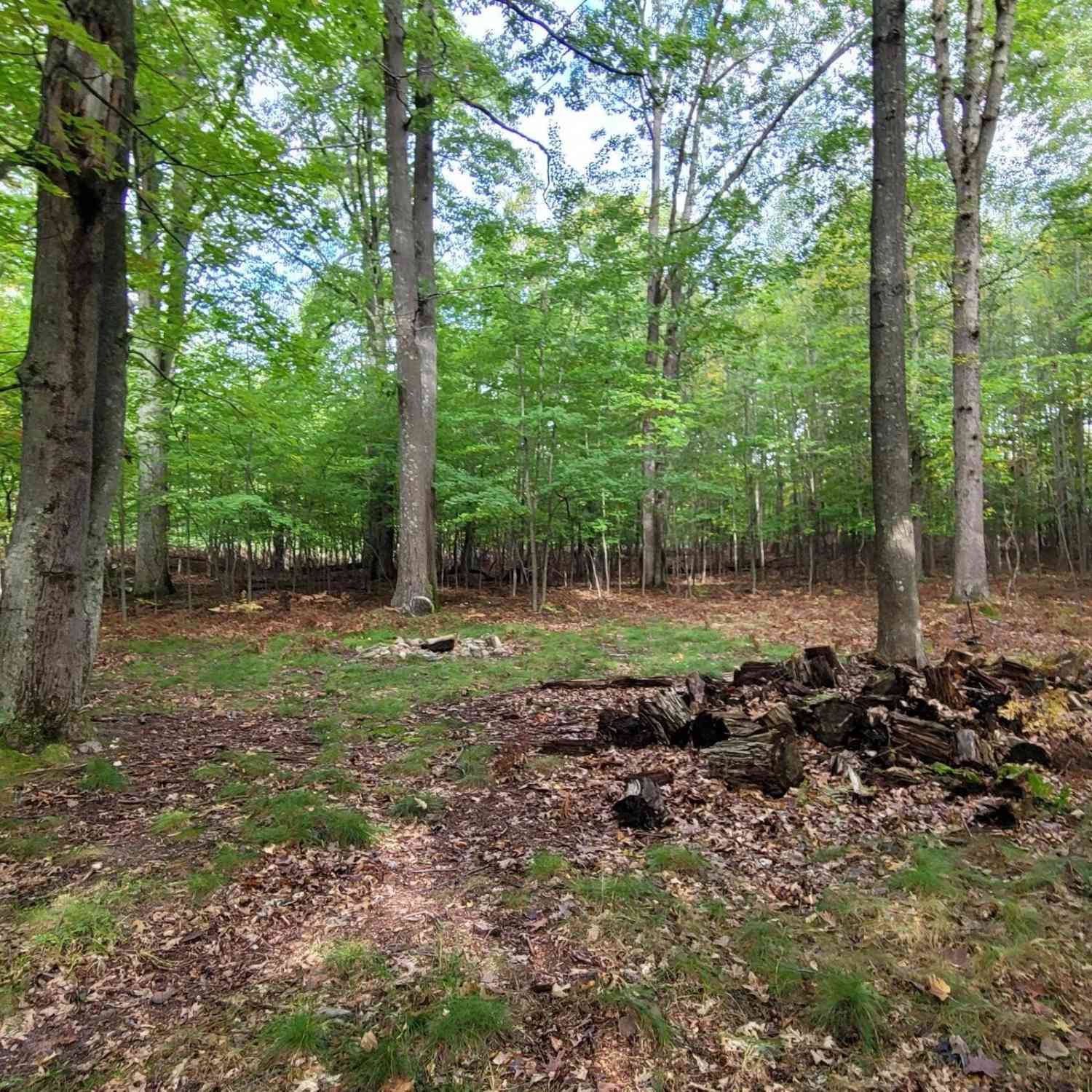 Vacant Land For Sale - N Diablo<br/> Pentwater, MI 49449