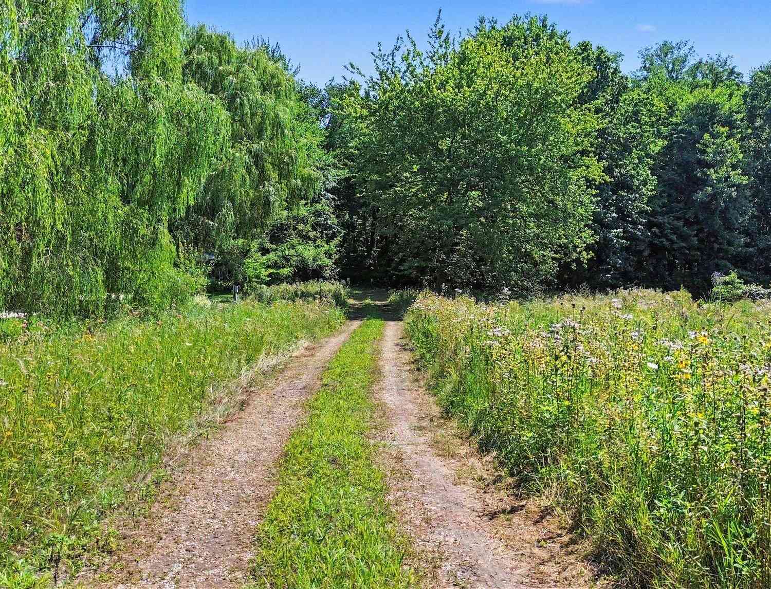 Vacant Land For Sale - 8716 W East Road<br/> Lakeside, MI 49116
