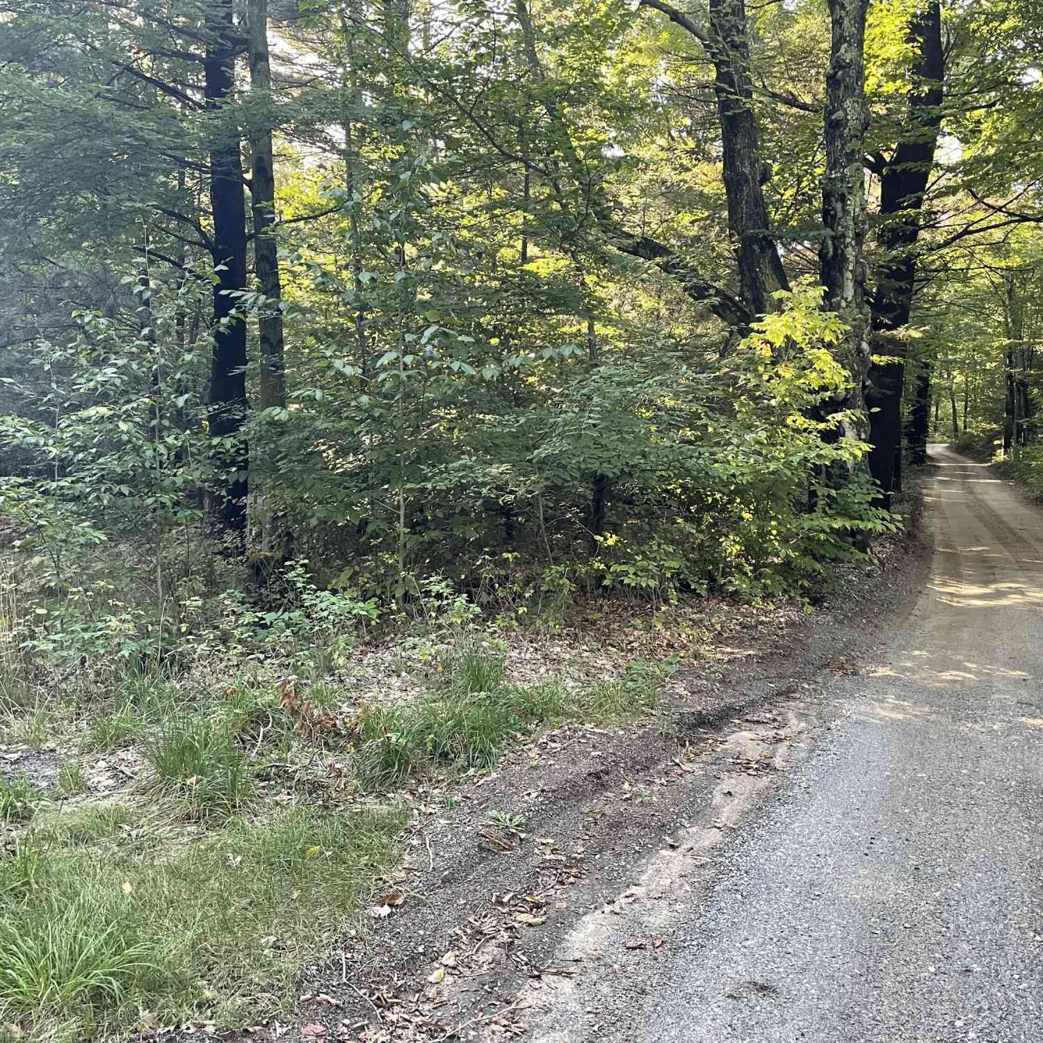 Vacant Land For Sale - 10445 W Woodrow Road<br/> Shelby, MI 49455