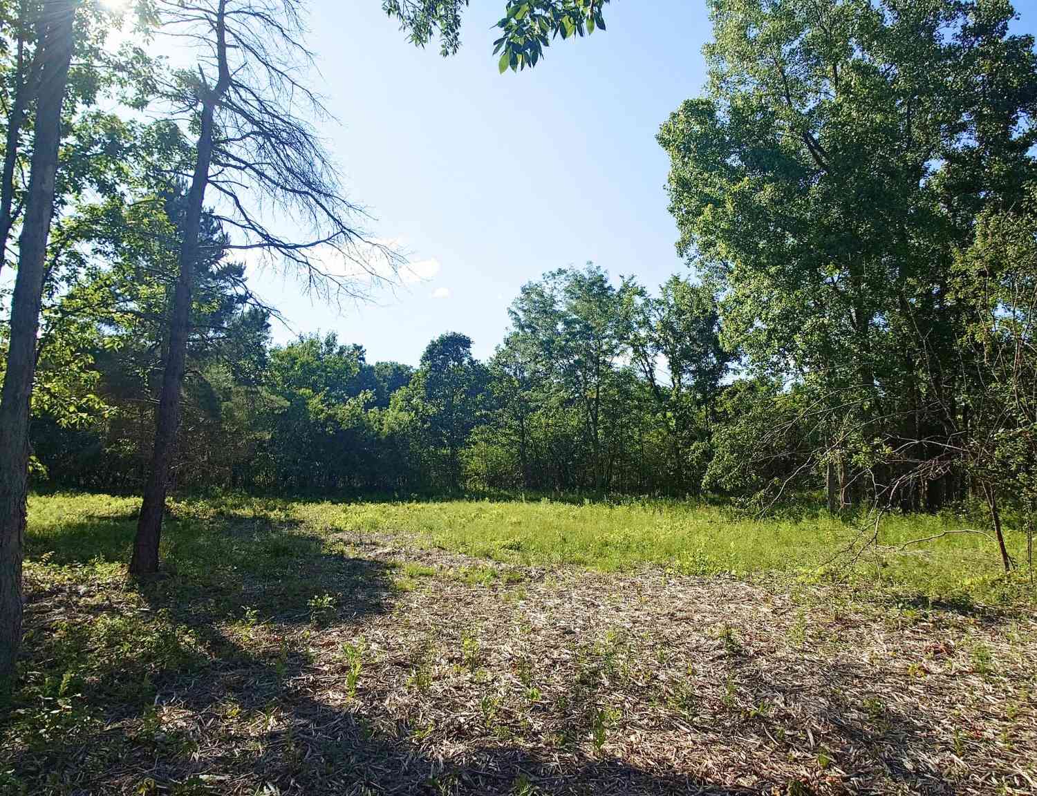 Vacant Land For Sale - 2897 Bateson Court<br/> Ann Arbor, MI 48105