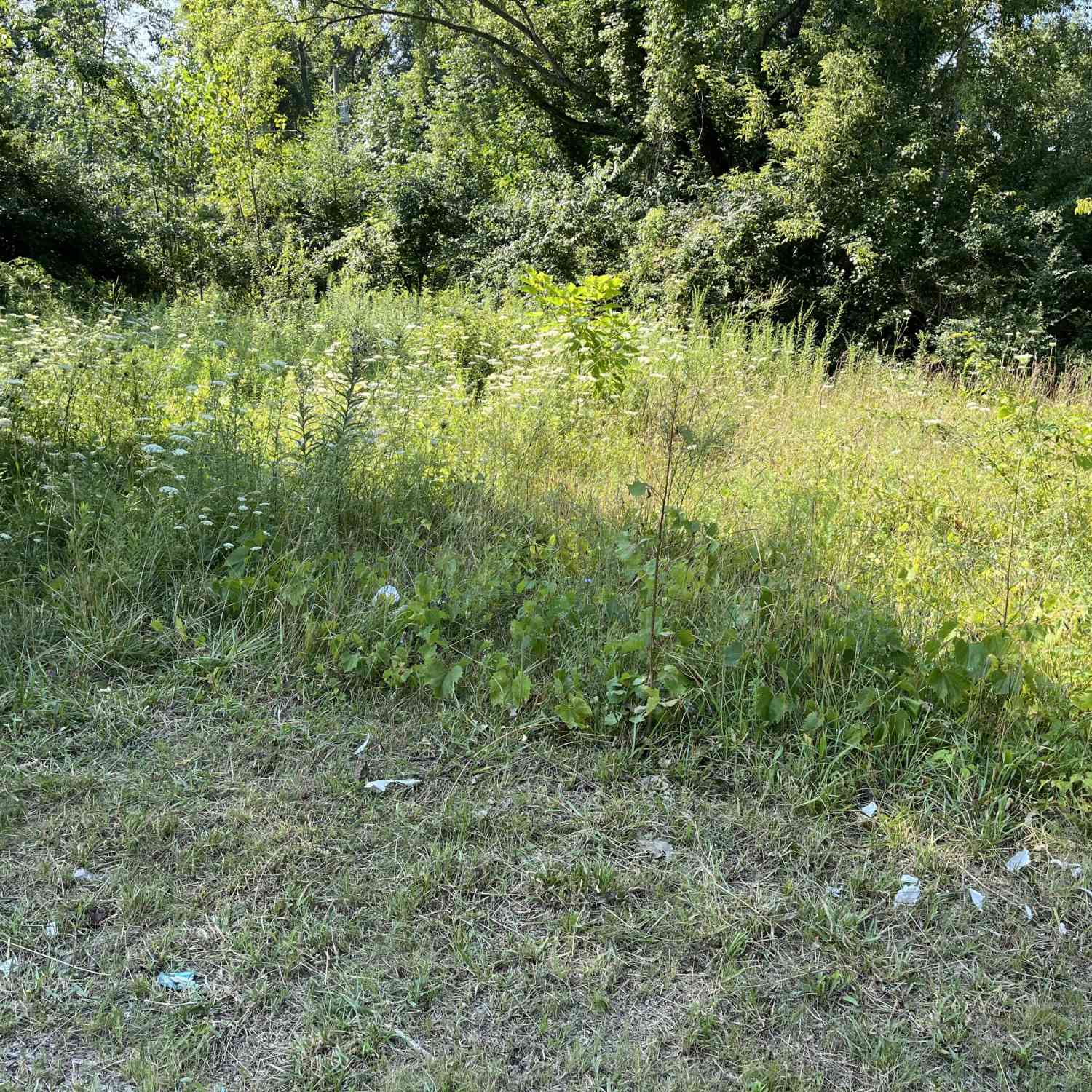 Vacant Land For Sale - 2268 Townline Road<br/> Benton Harbor, MI 49022