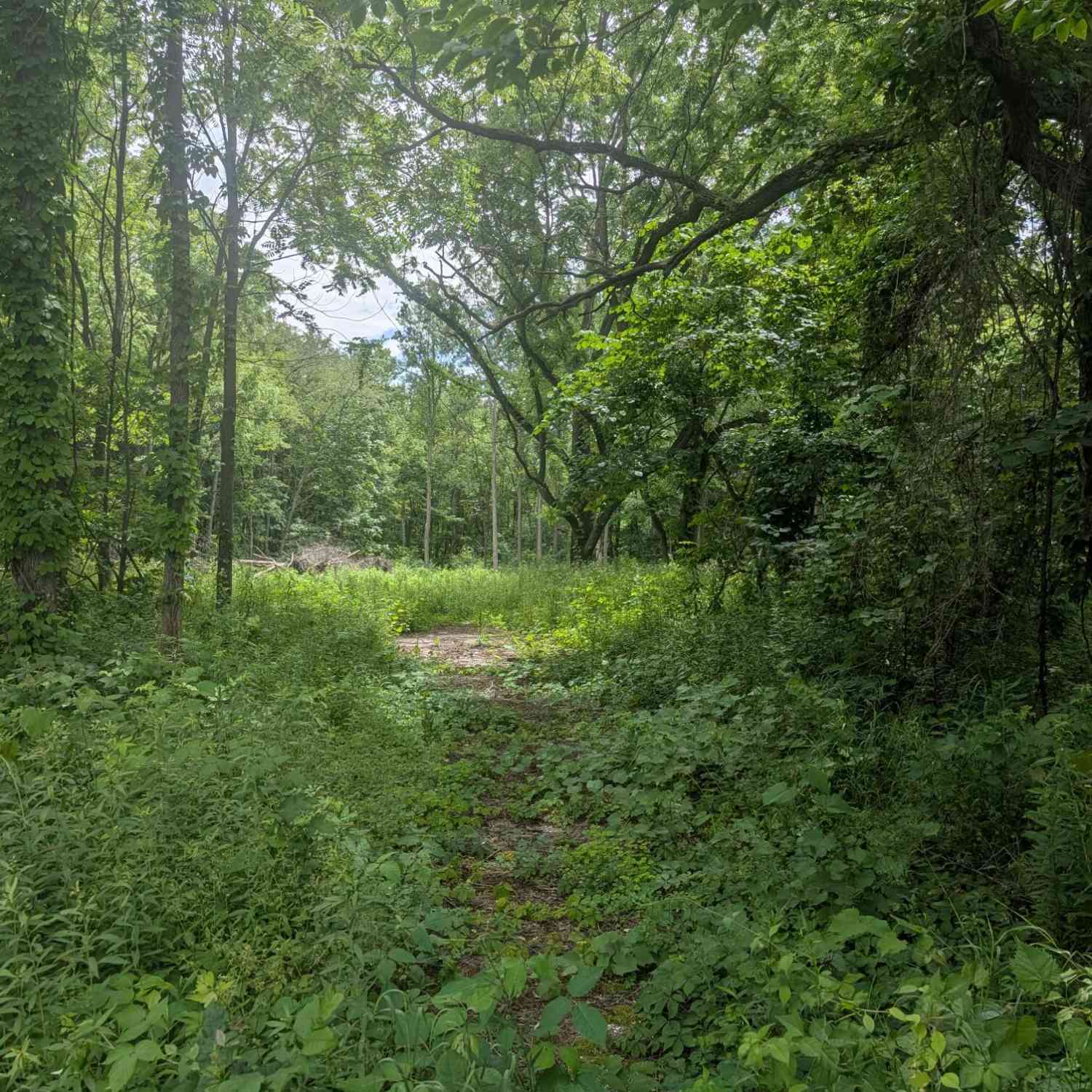 Vacant Land For Sale - M-43<br/> Van Buren County, Bangor, MI 49013