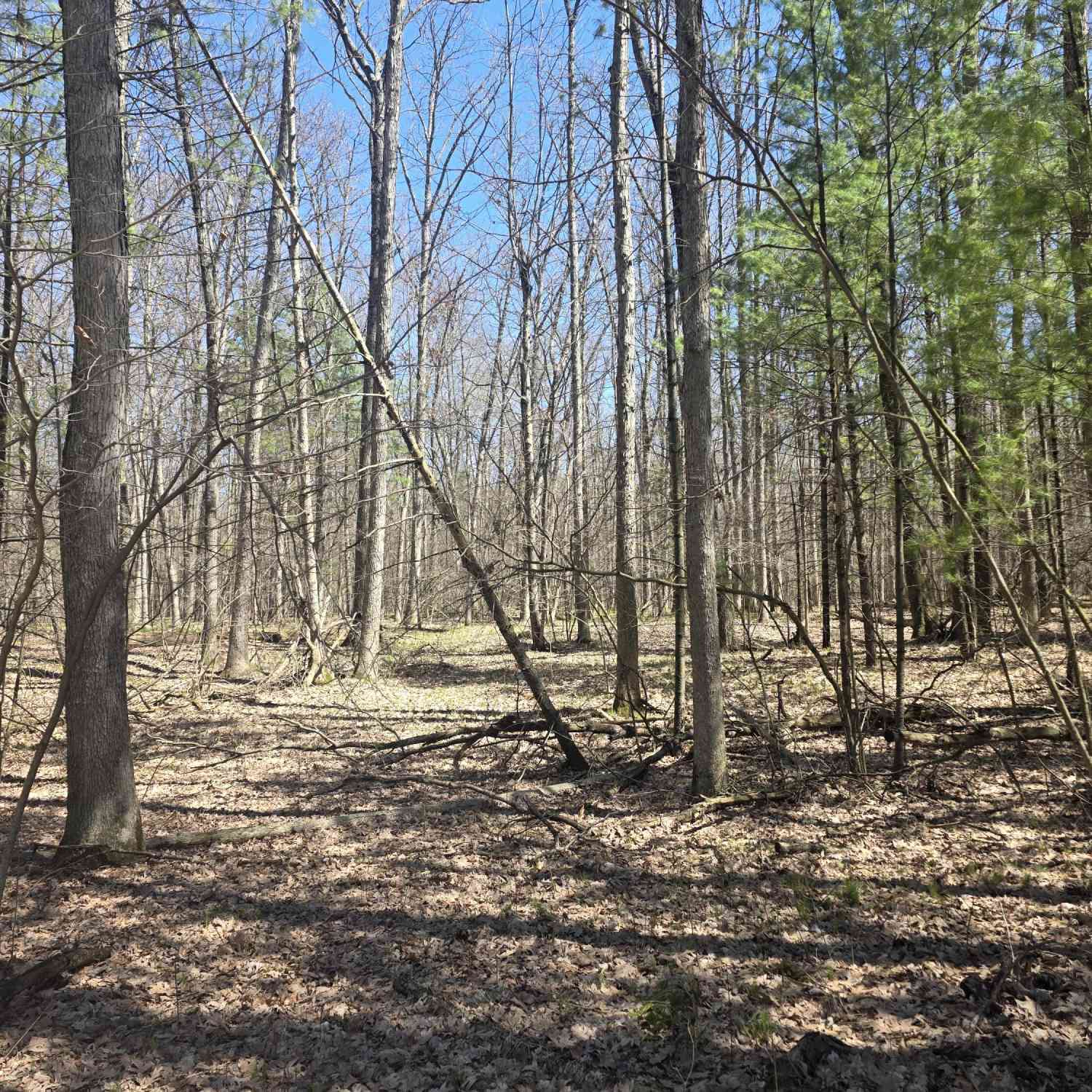 Vacant Land For Sale - 7696 Muskegon Boulevard<br/> Newaygo, MI 49337