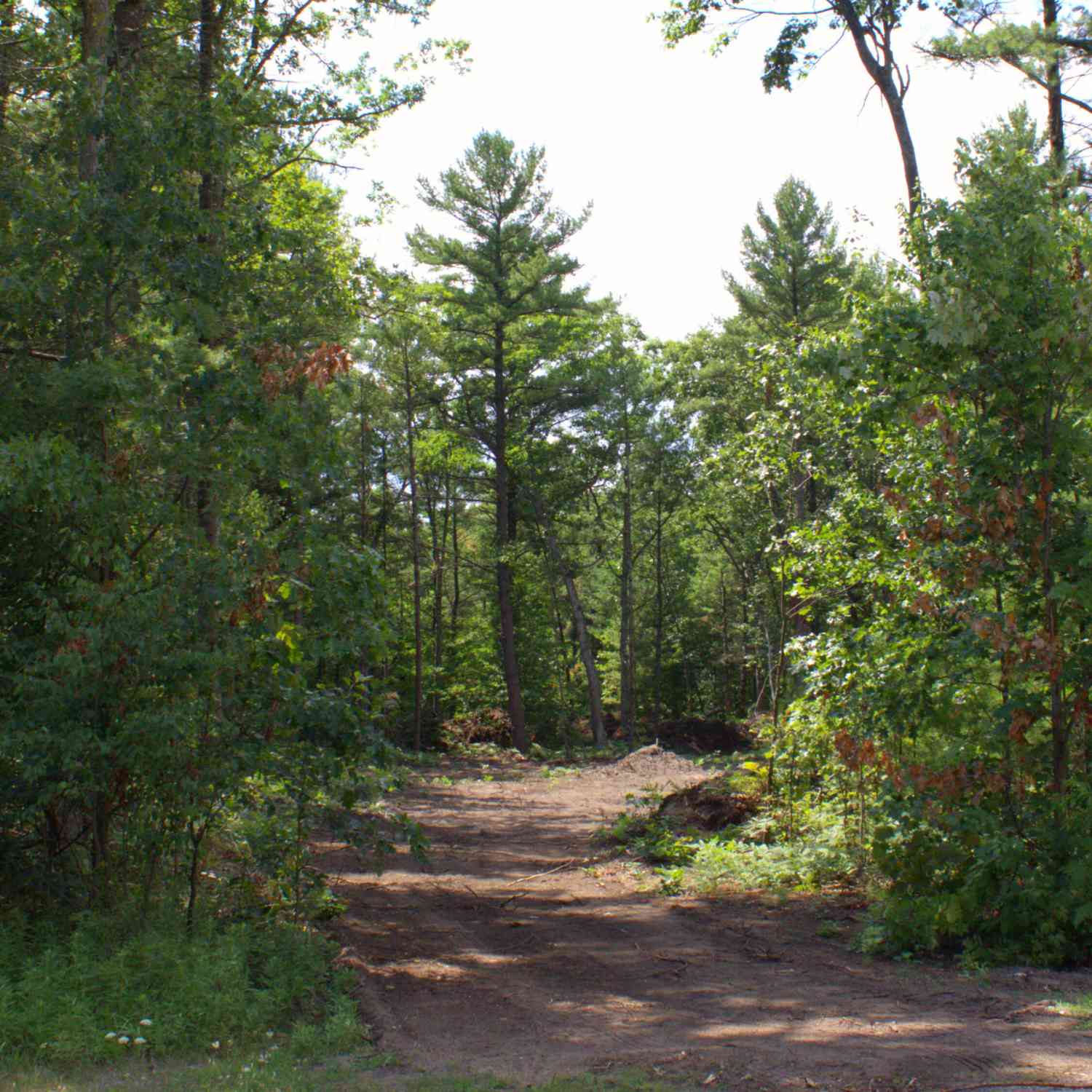 Vacant Land For Sale - VL Danc Drive<br/> Twin Lake, MI 49457